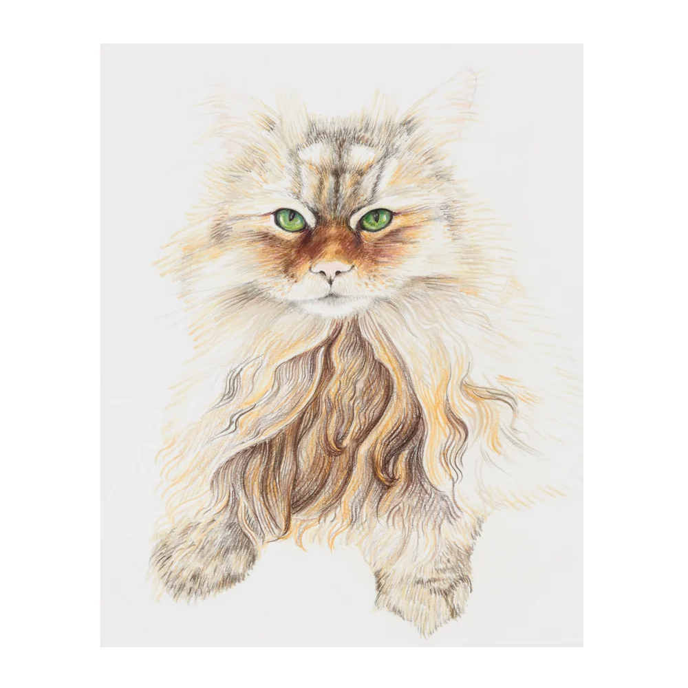 fluffy vap Do Weed Vapes Smell? main image 1
