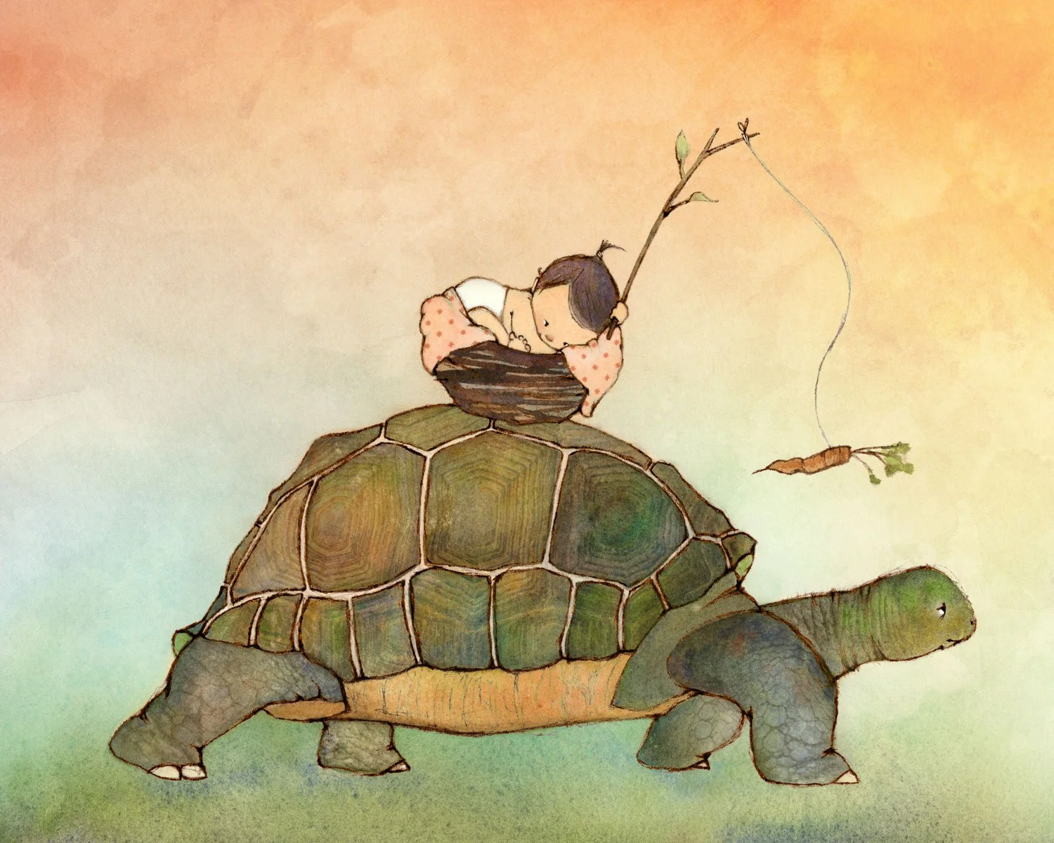 Tortoise-348.2K.jpg