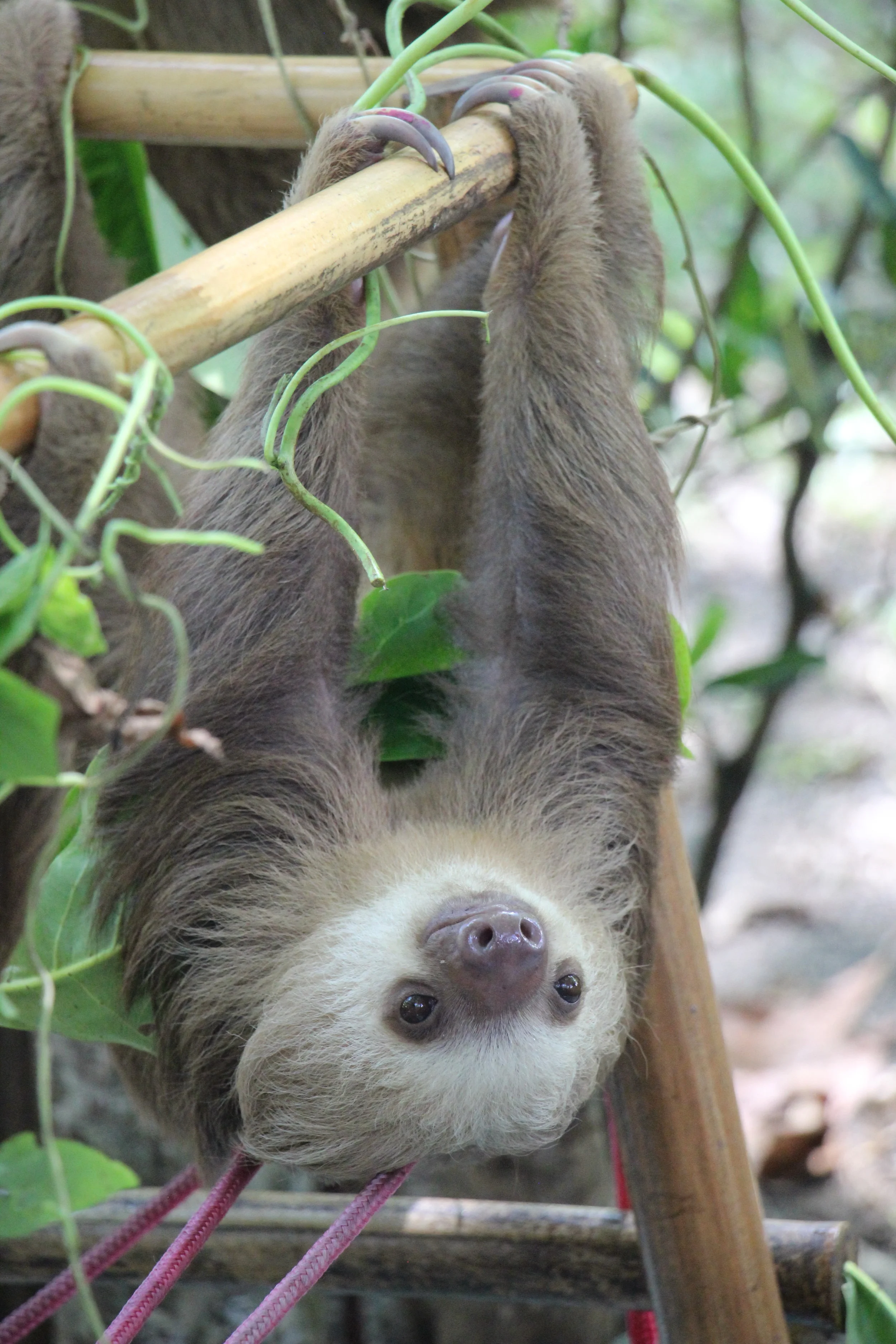 Costa Rica: Living Up to the Hype