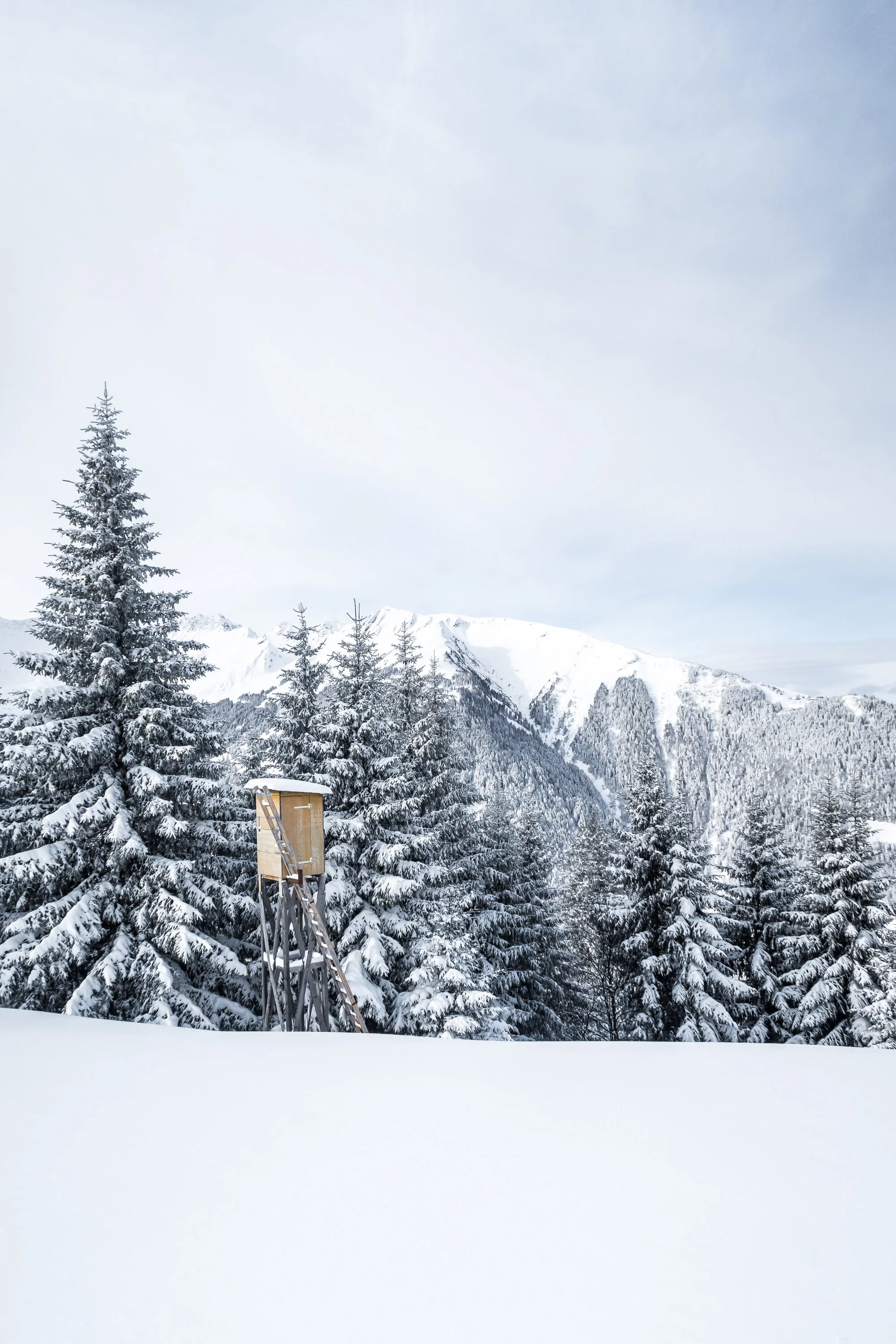 HelveticBackcountry_BadRagaz_Jan2018-22.jpg
