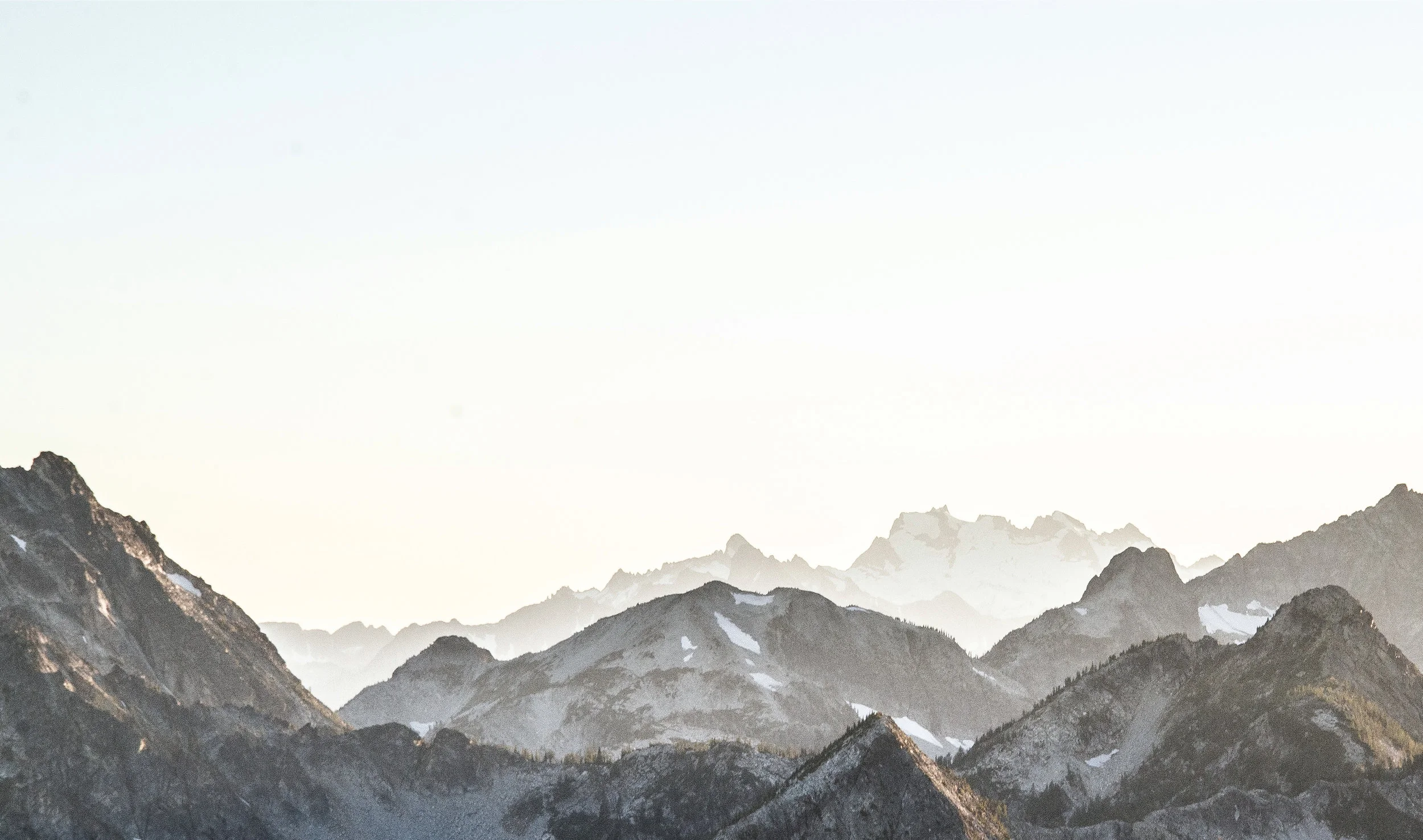 BACKGROUND-CROP-3.jpg