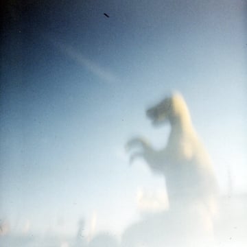 PinHole T-Rex