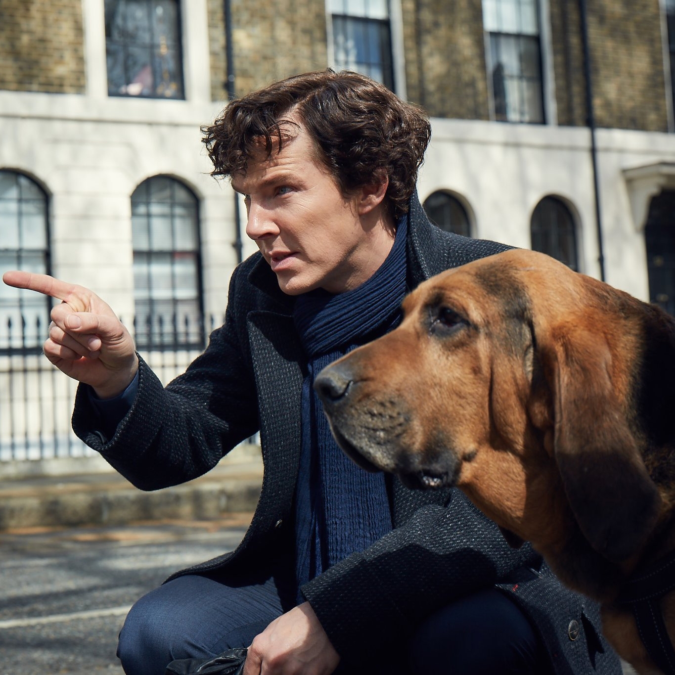 Sherlock-Season-4-Sherlock-with-dog.jpg