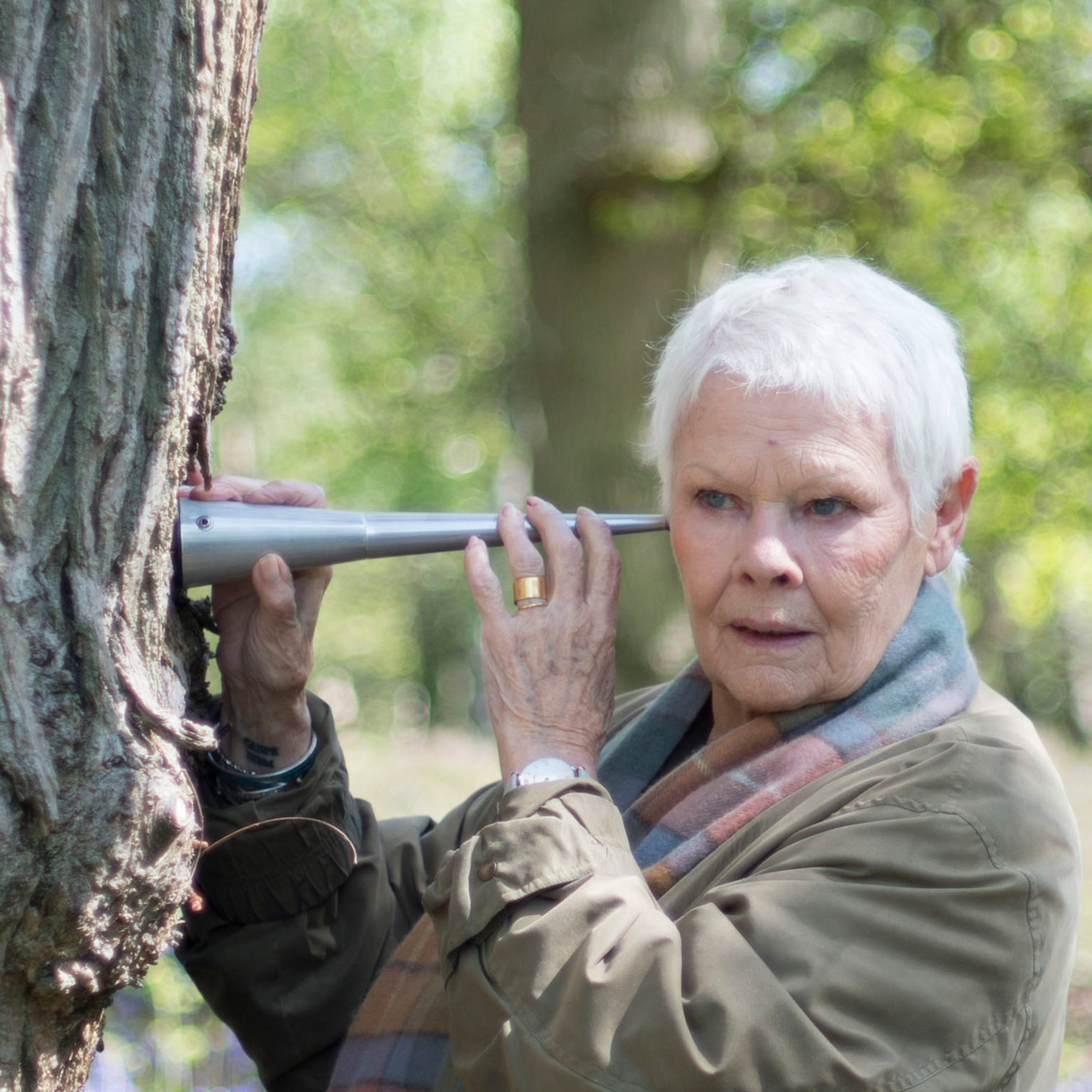 Hero-Landscape-14878828-high_res-judi-dench-my-passion-for-trees copy.jpg