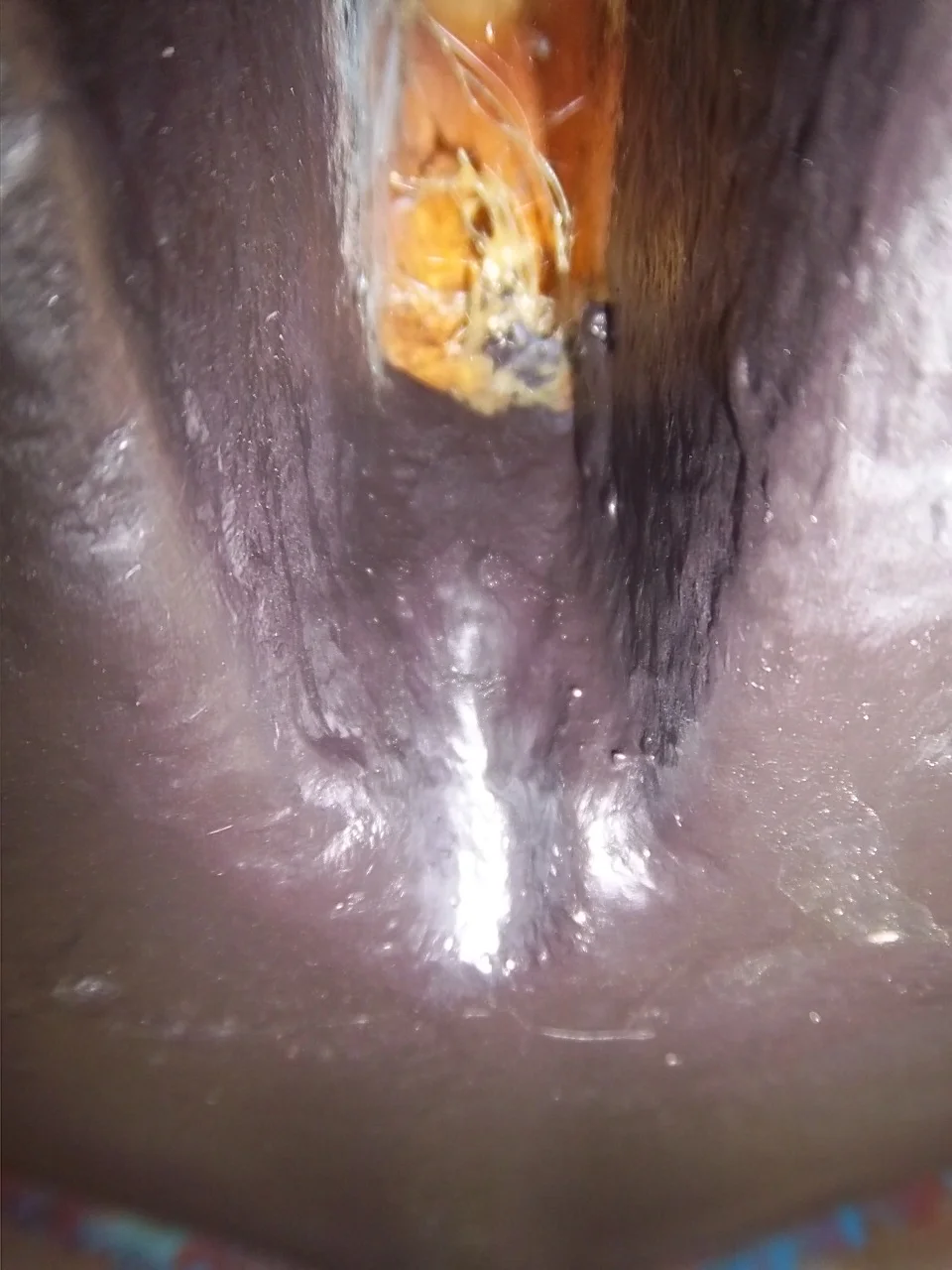 100_2901.JPG