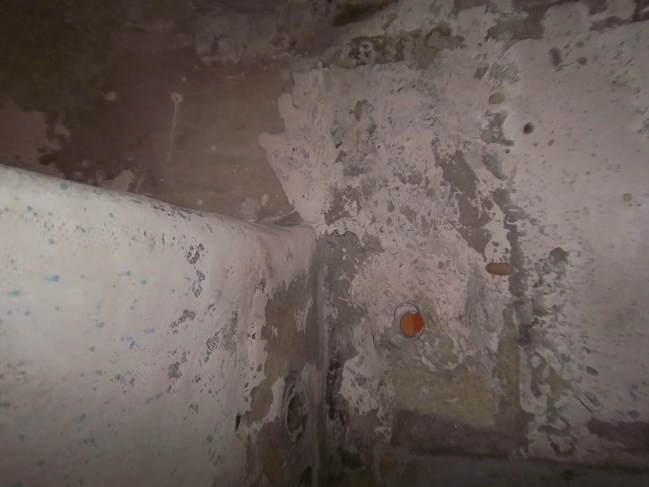 100_3622.JPG