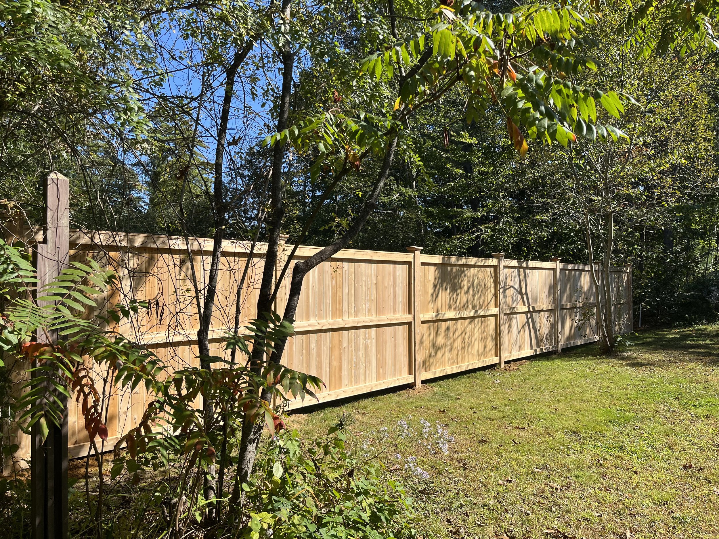 Cedar Tongue and Groove with Mid-Rail 
