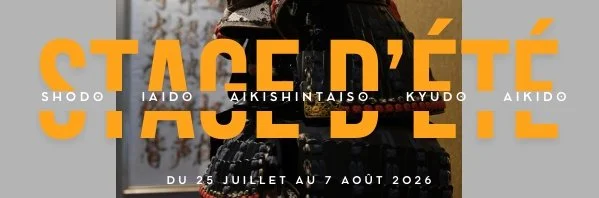 Aikido Summer Camp Flyer