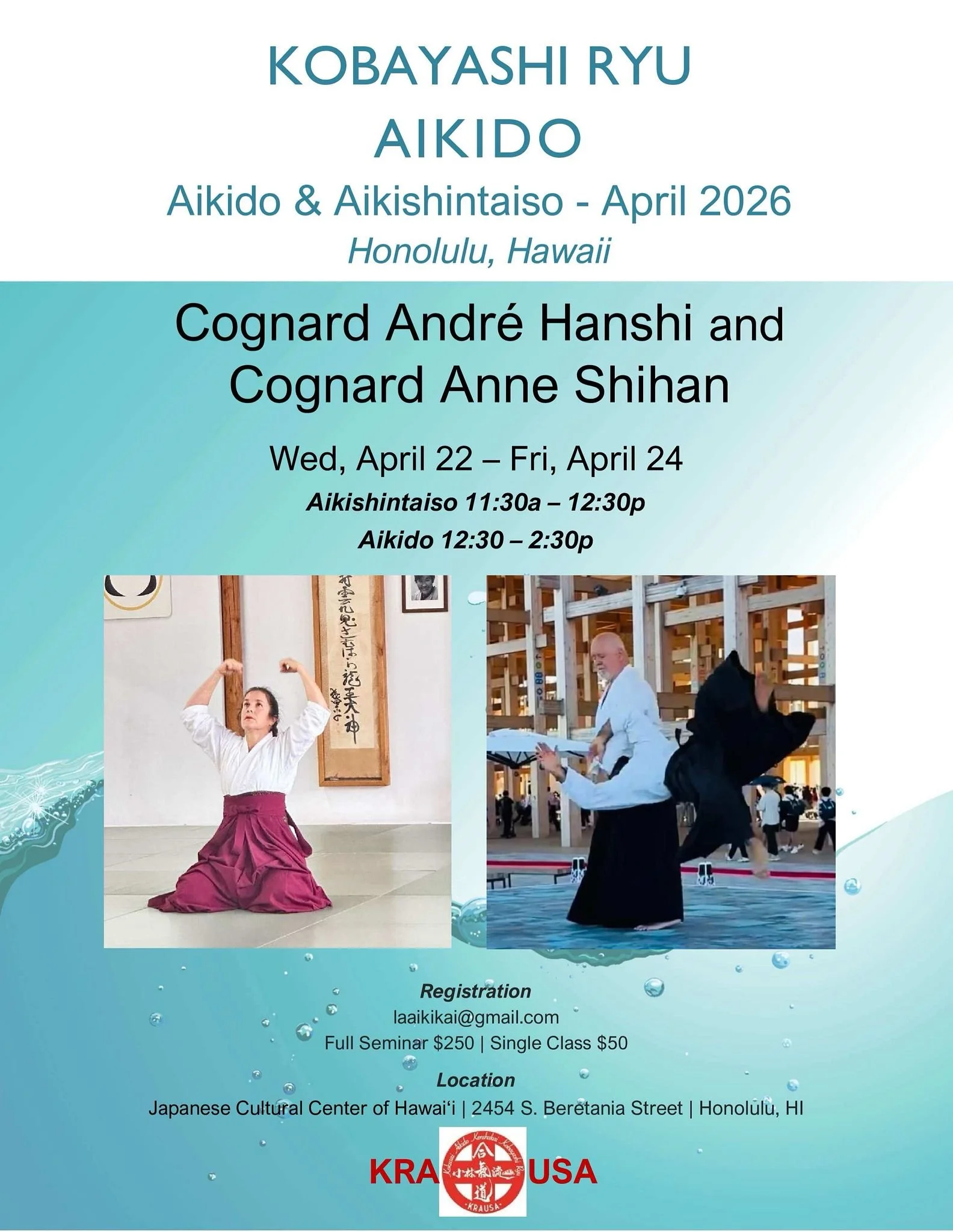 Seminar Aikido & Aikishintaiso in Hawai