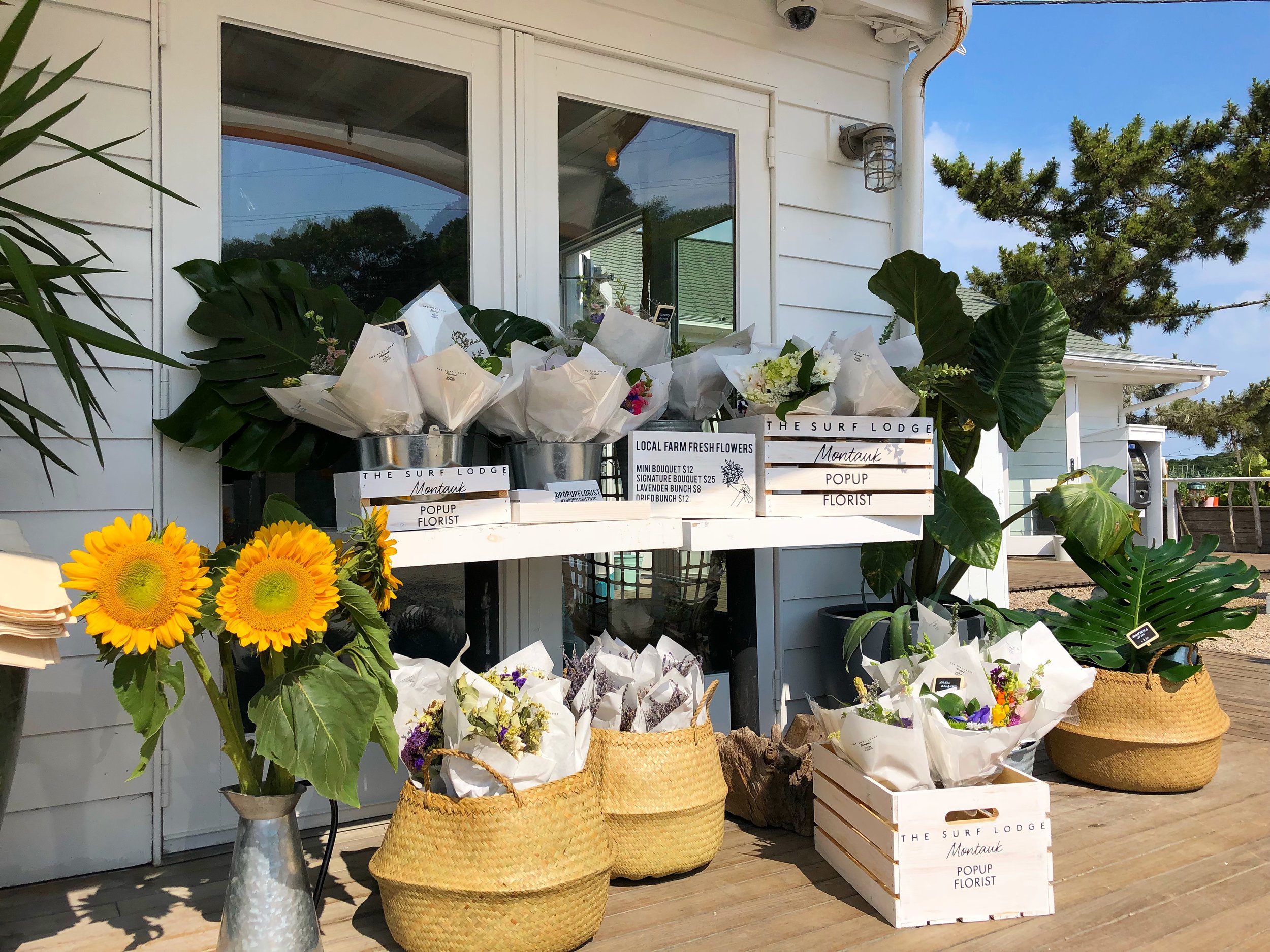 POPUP at the Surf Lodge, July 2018
