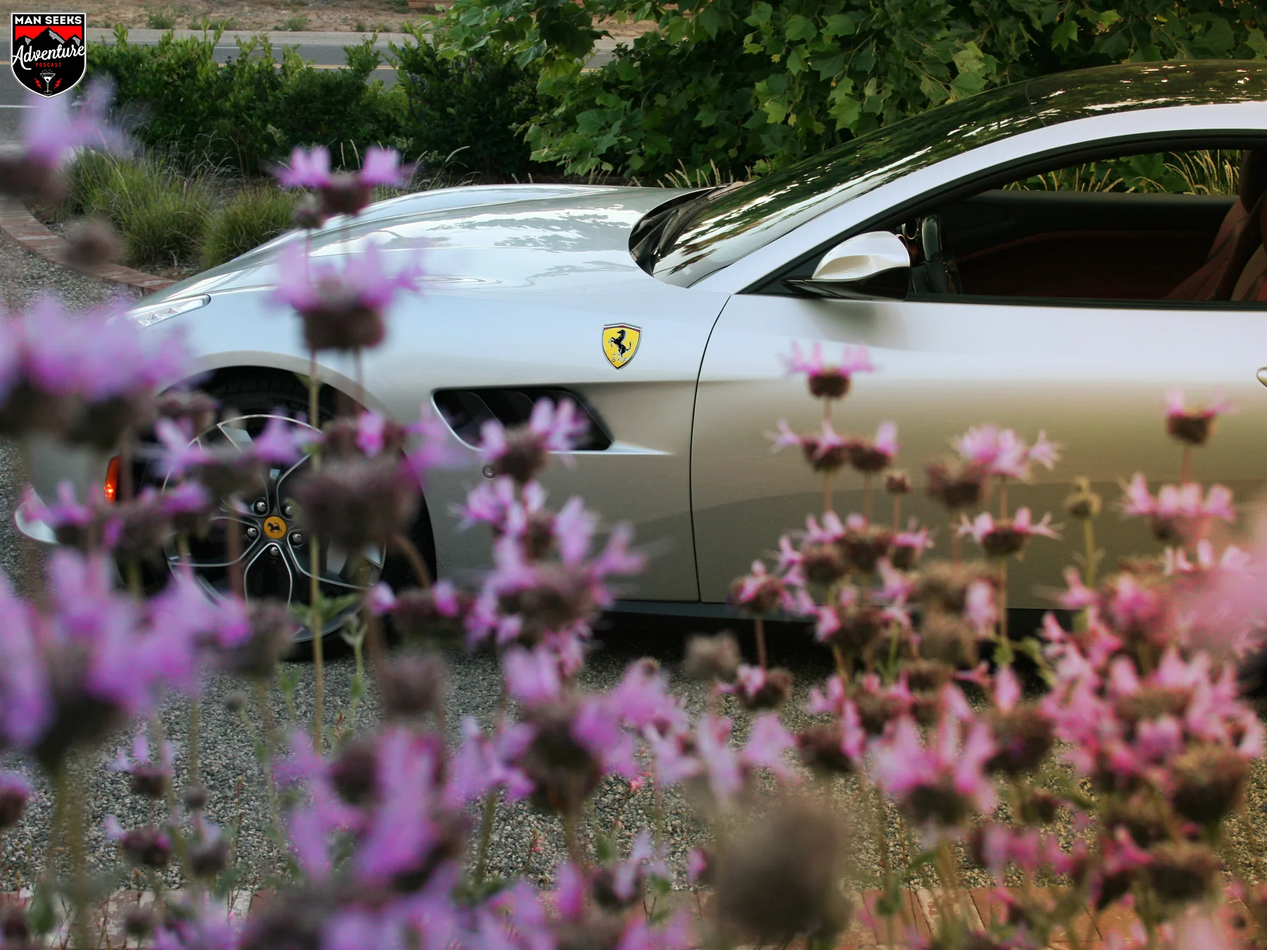 FERRARI 39.jpg