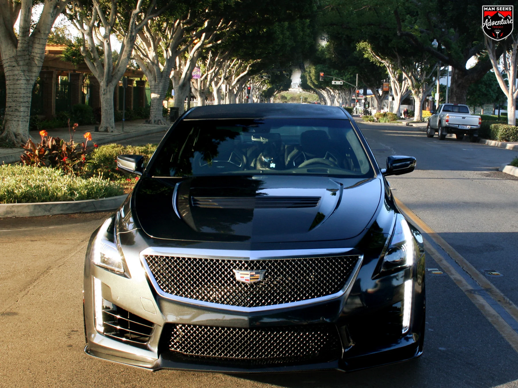 Cadillac 09.jpg