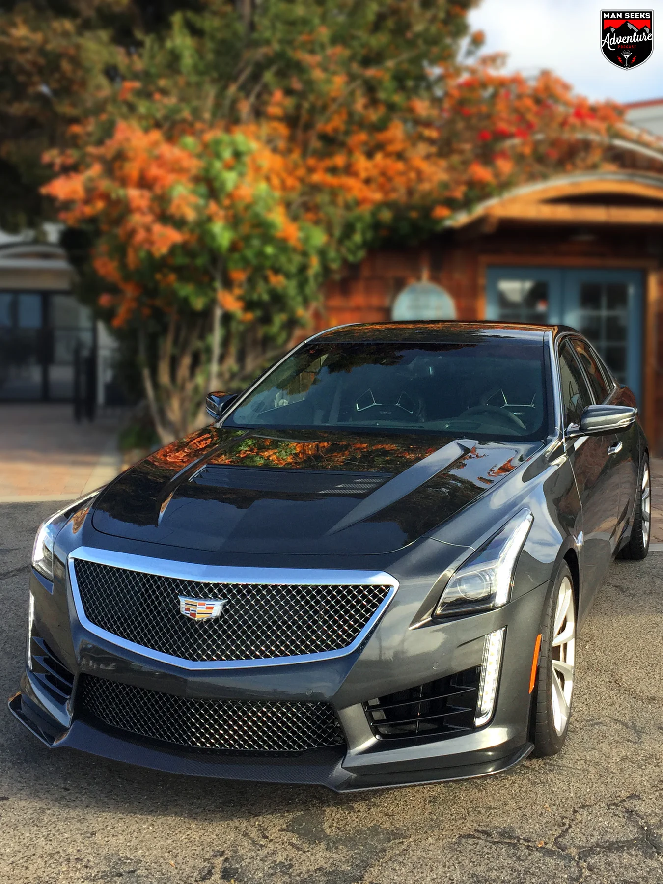 Cadillac 59.jpg