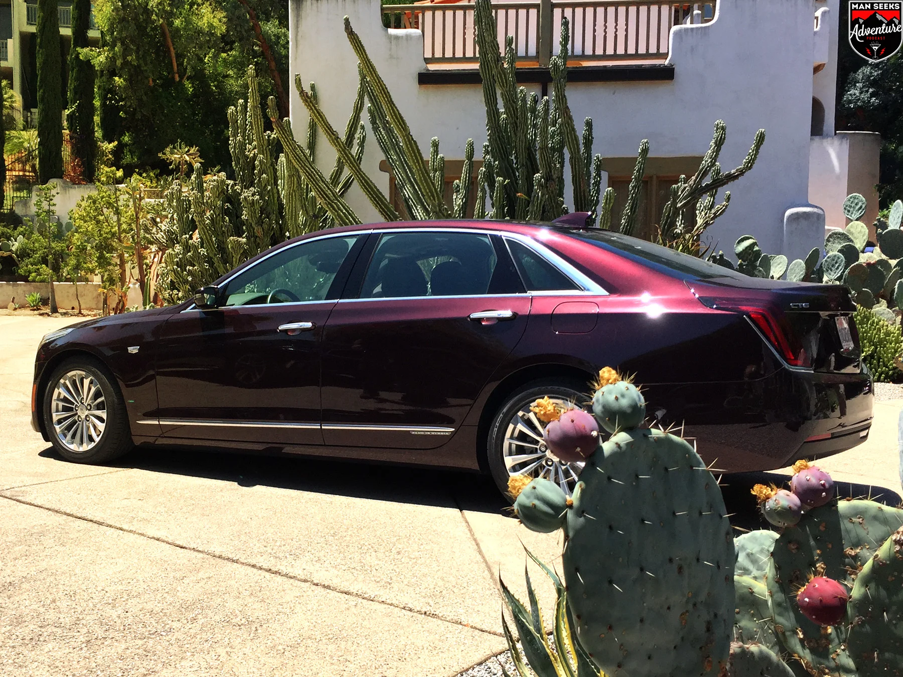 CT6 04.jpg