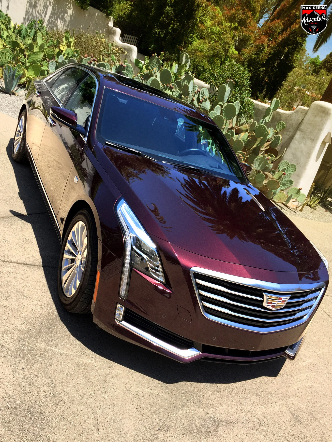 CT6 30.jpg