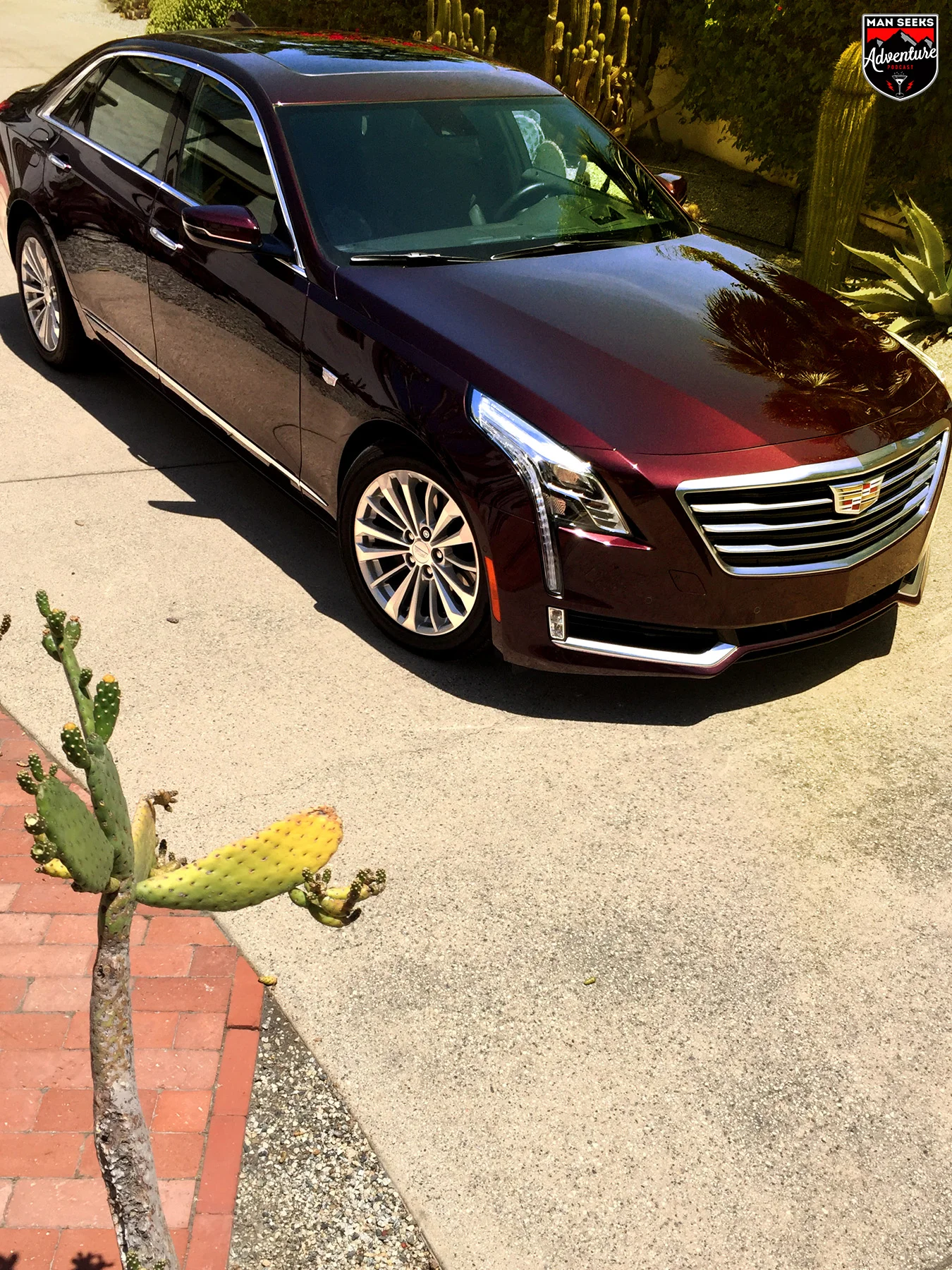 CT6 32.jpg