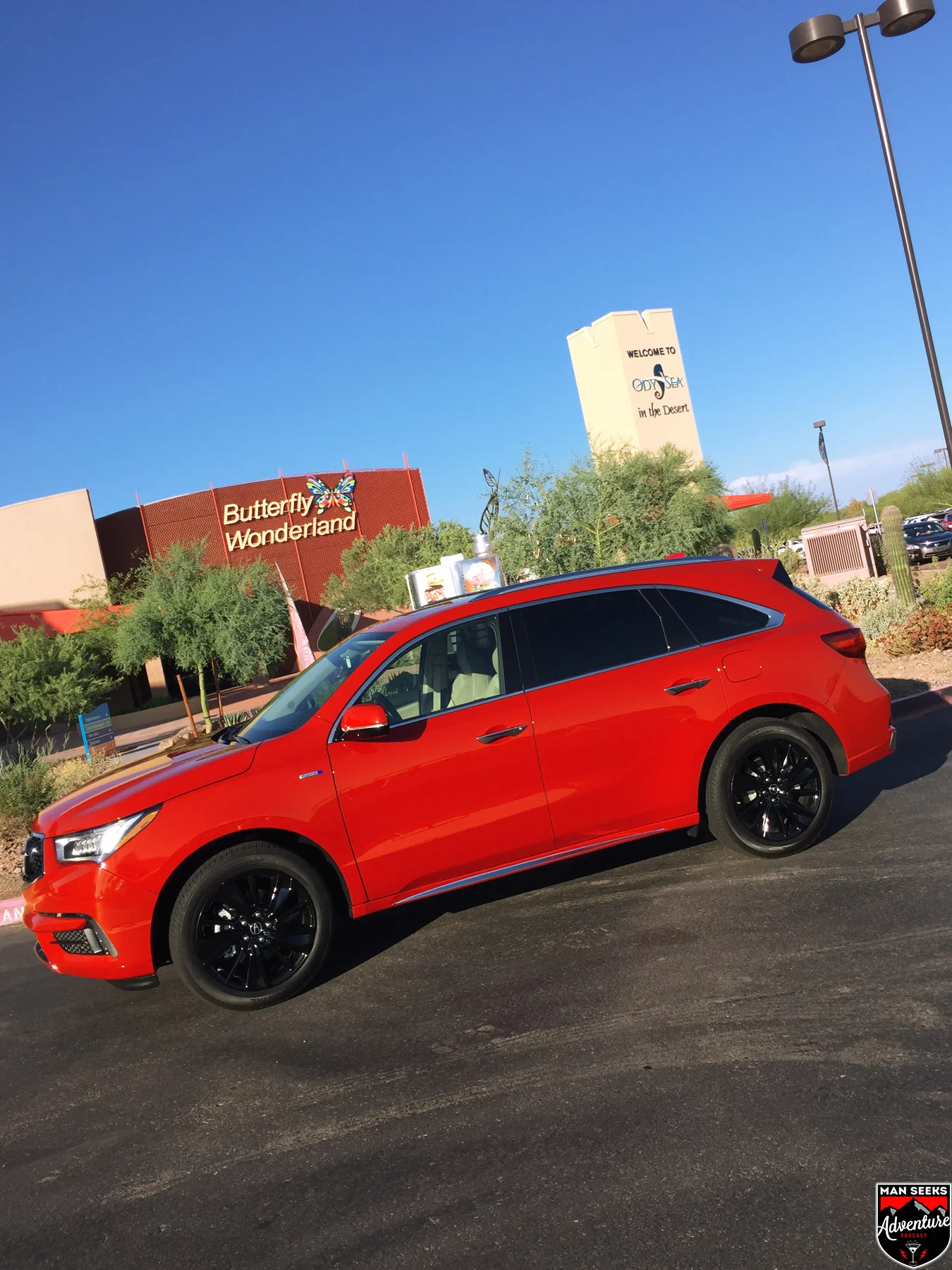 MDX 10.jpg