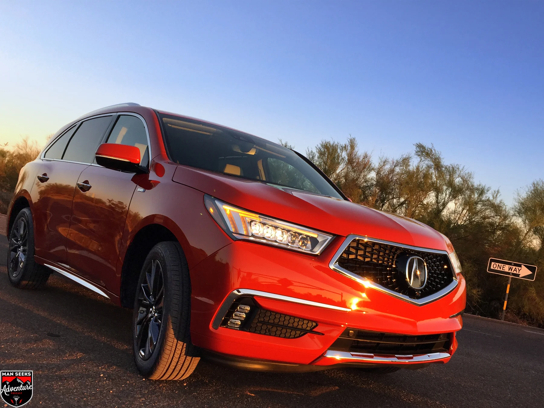 MDX 13.jpg