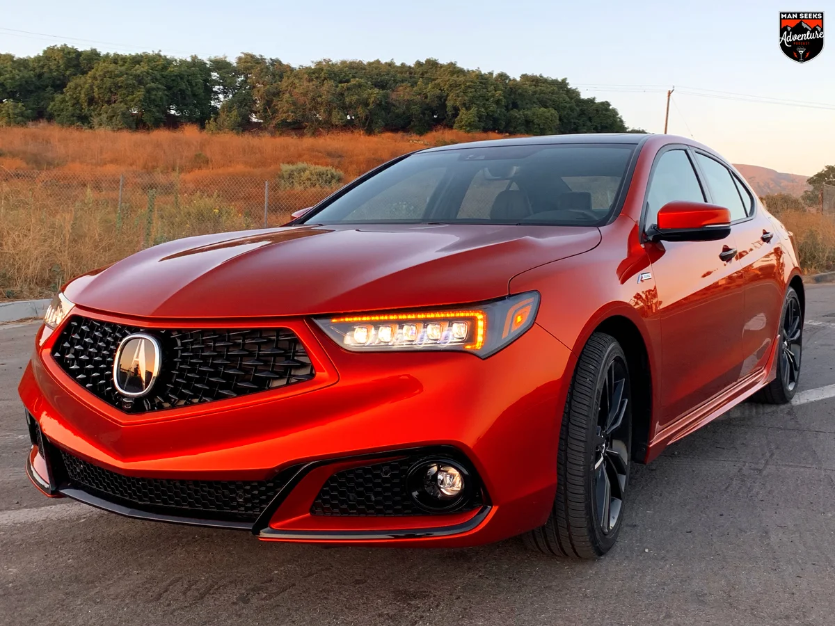 TLX 31.jpg