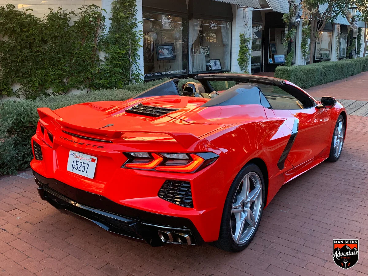 VETTE 04.jpg