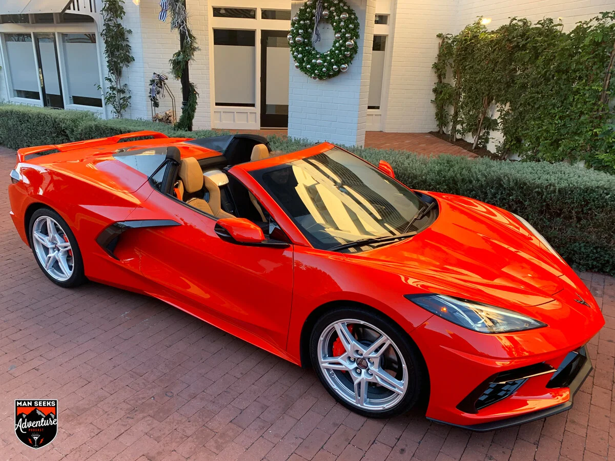 VETTE 11.jpg