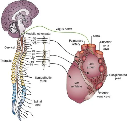 1004fig01.jpg