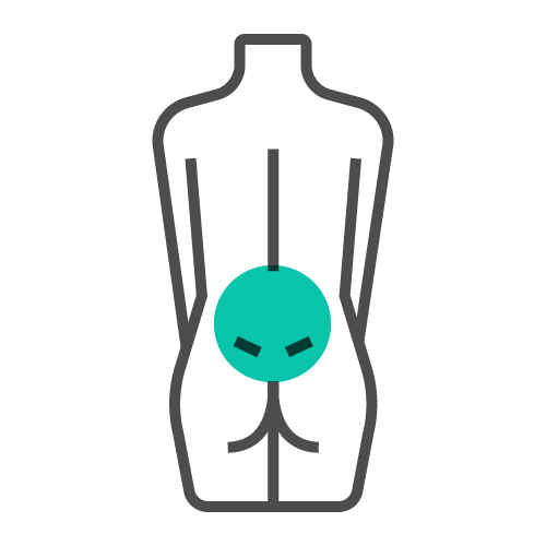Pain_Icons_lower back pain.png