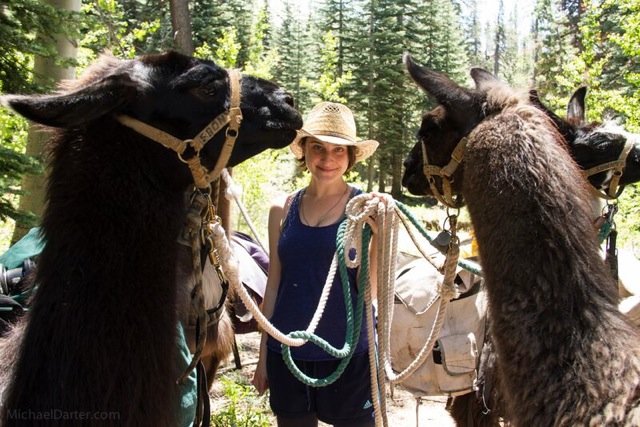 Sarah Fuss Kessler occasionally travels in packs.