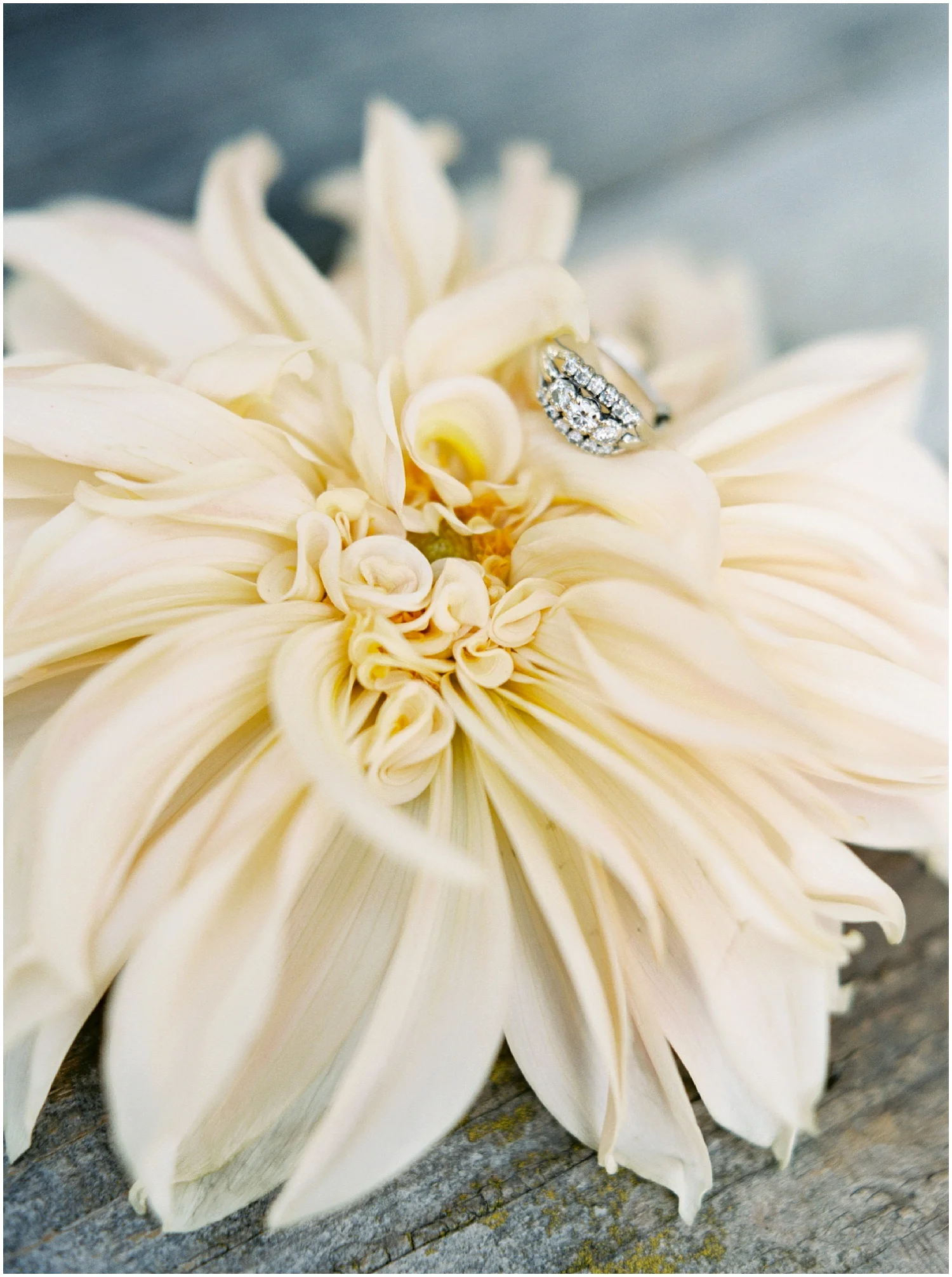Fresno Wedding photography, Fresno Wedding photographers, California fine art wedding photographer, Fresno Wedding Photography, California Wedding Photographers, Paso Robles wedding photographer