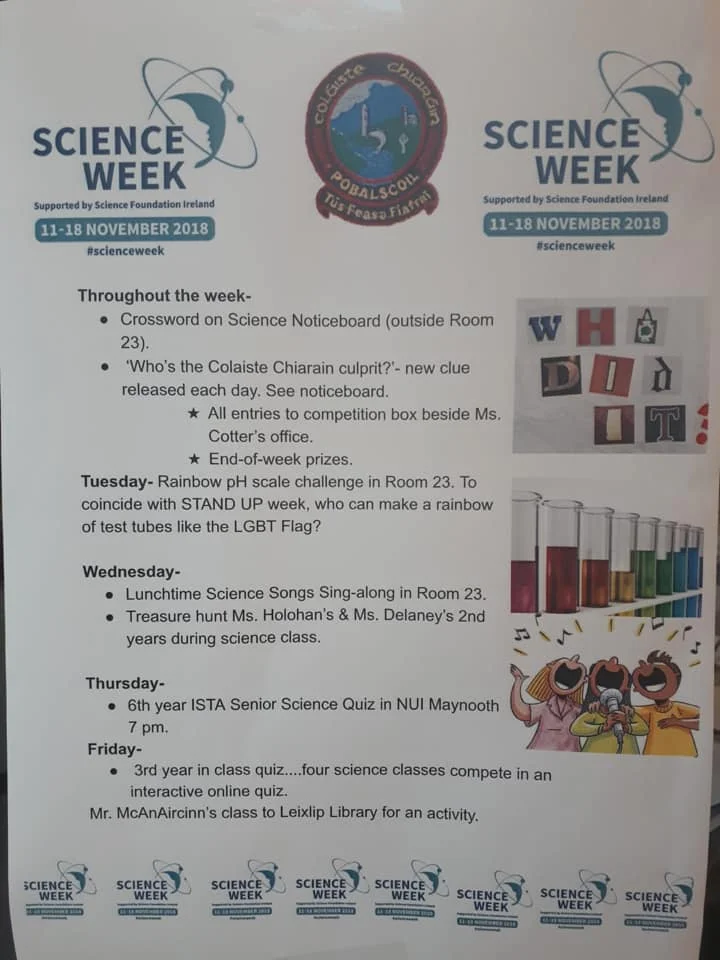 science4.jpg