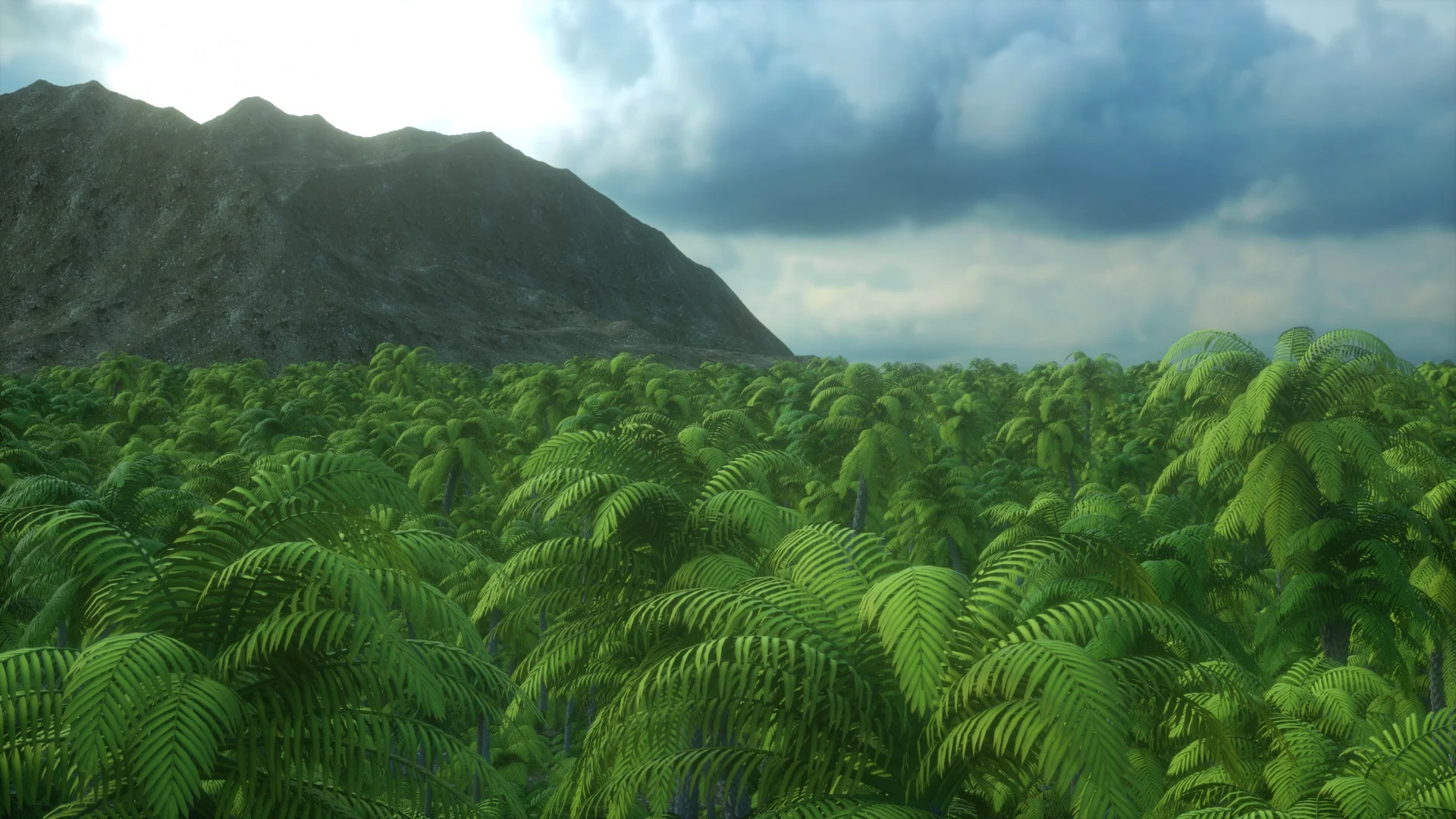 FOREST 002.jpg