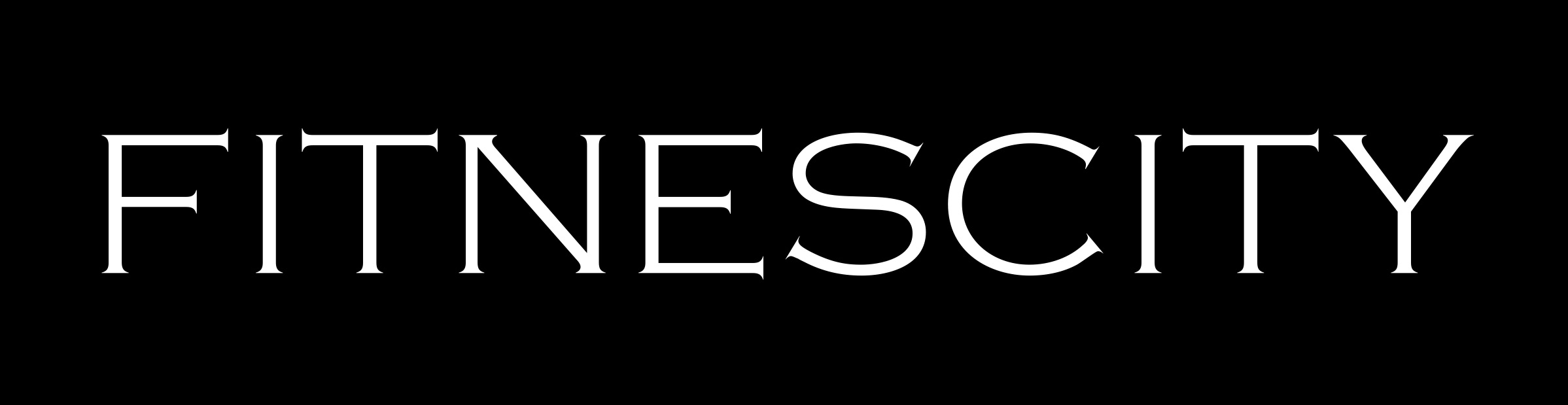 Fitnescity Logo Small.png