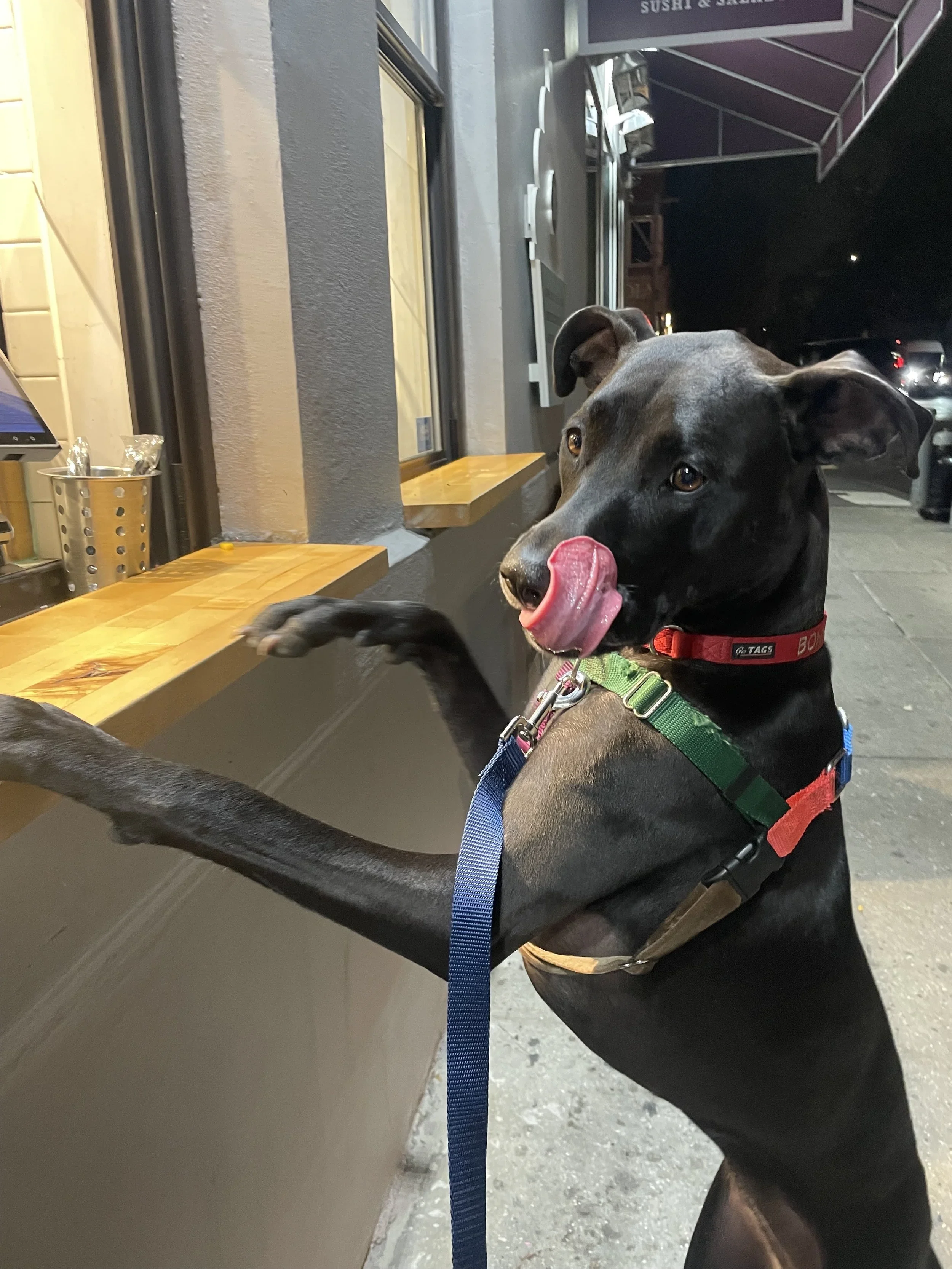 Bonnie, Director of Treats 