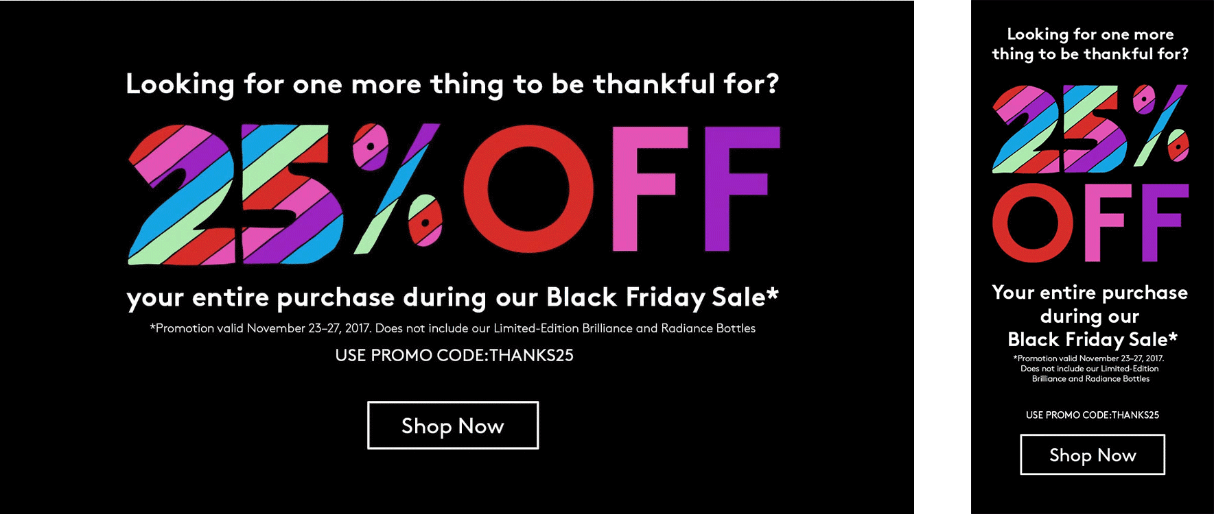 BLACK FRIDAY PROMO WEB BANNER