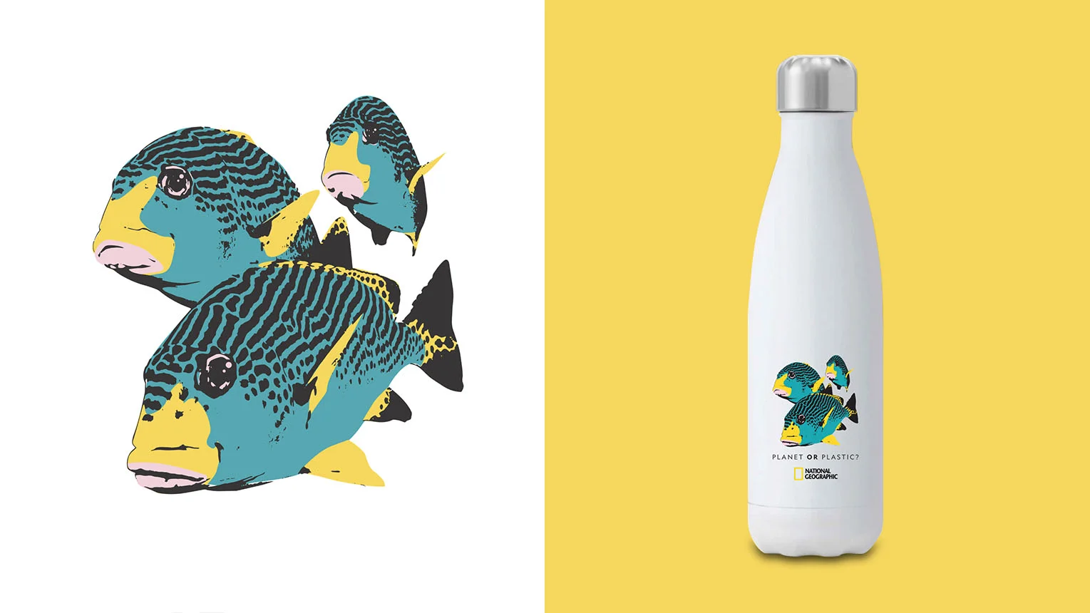 NATIONAL GEOGRAPHIC LOGO & BOTTLE