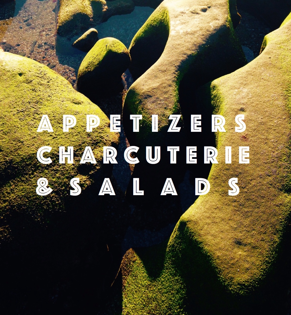 apps, charcuterie & salads.jpg