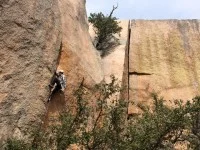 thewichitas-200x150.jpg