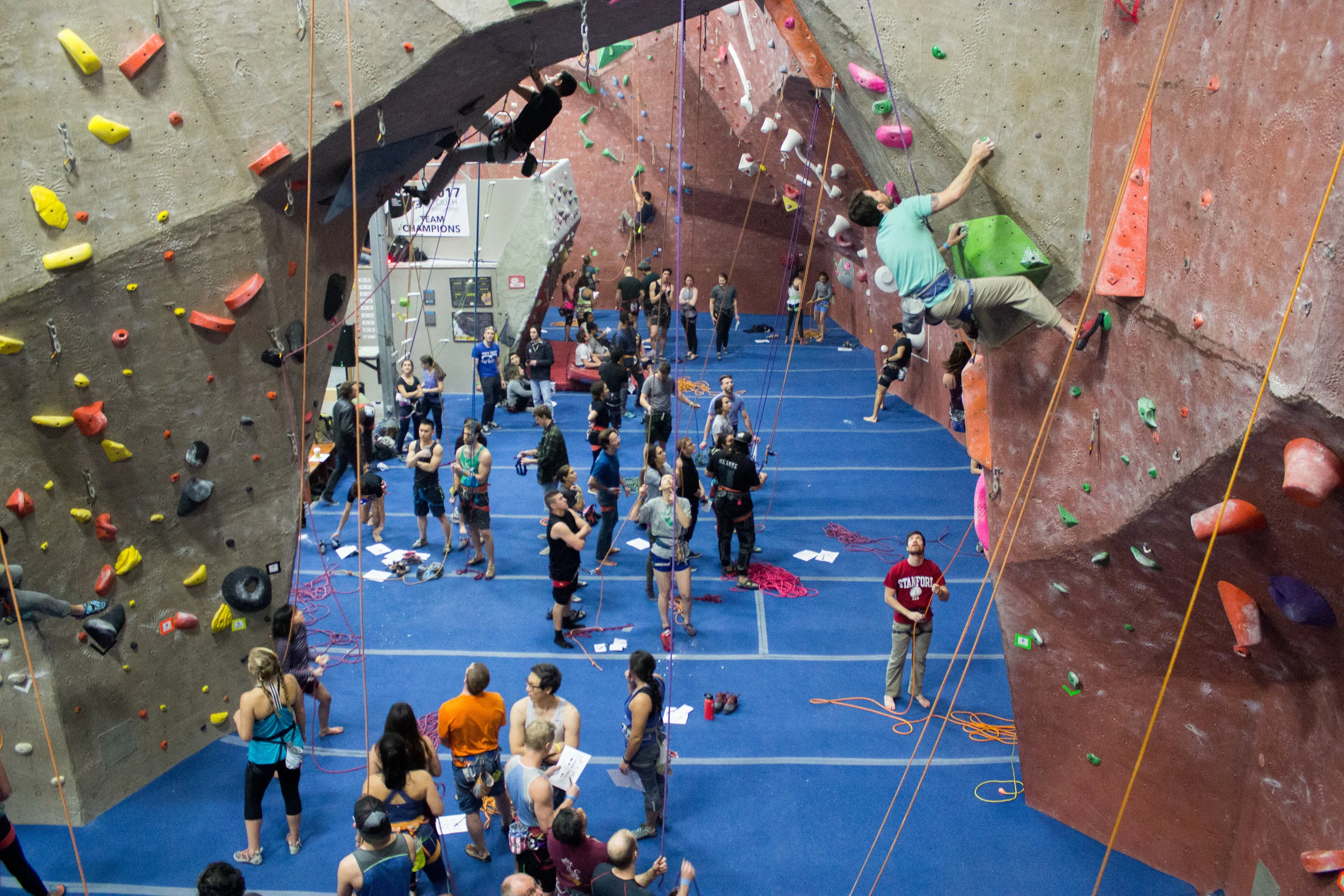 _MG_6499.jpg