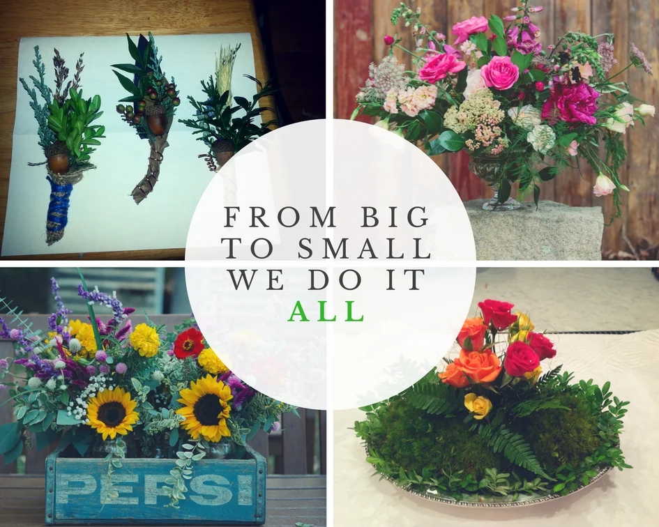 Nina'sBotanicals.jpg