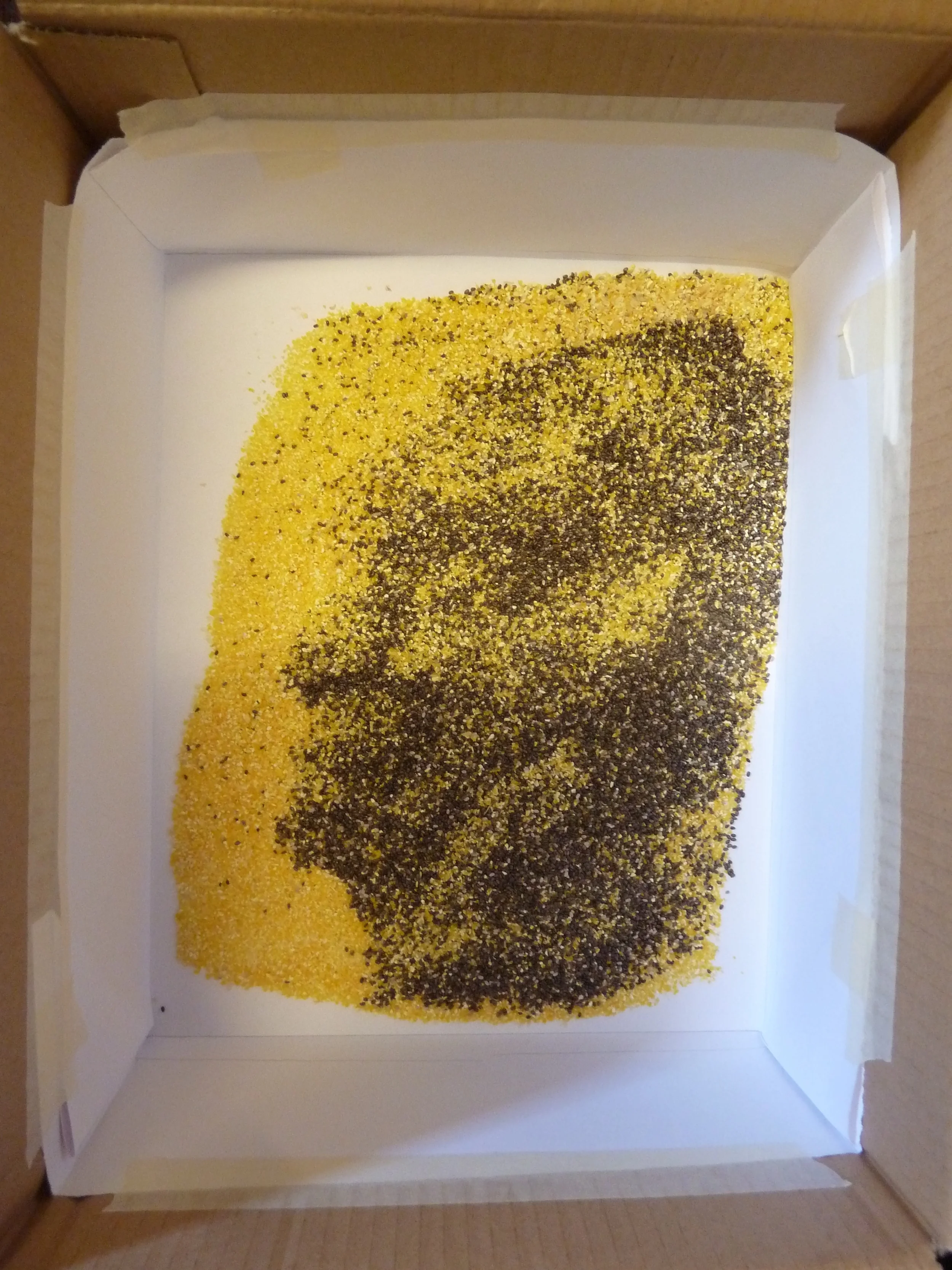  As I walked to my bus stop I became hyper aware of my surroundings, every bump or jostle could spell disaster.&nbsp;Even the slightest vibrations in the air could affect my drawing. 