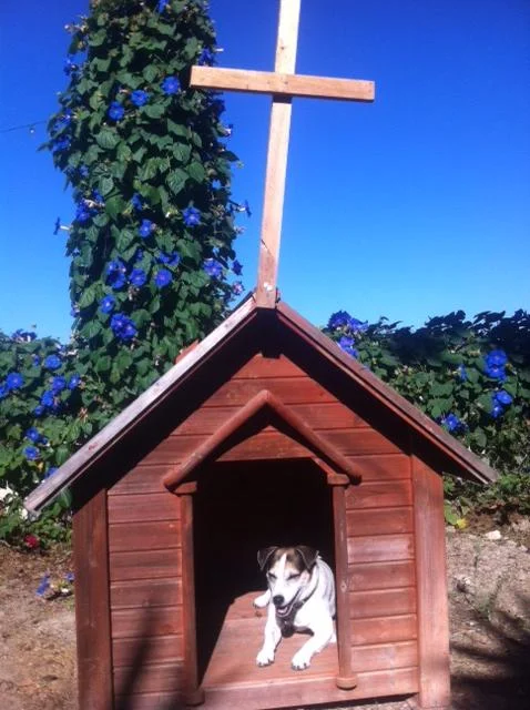 dog chapel 2.jpg