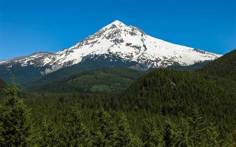 photo mount hood.jpg