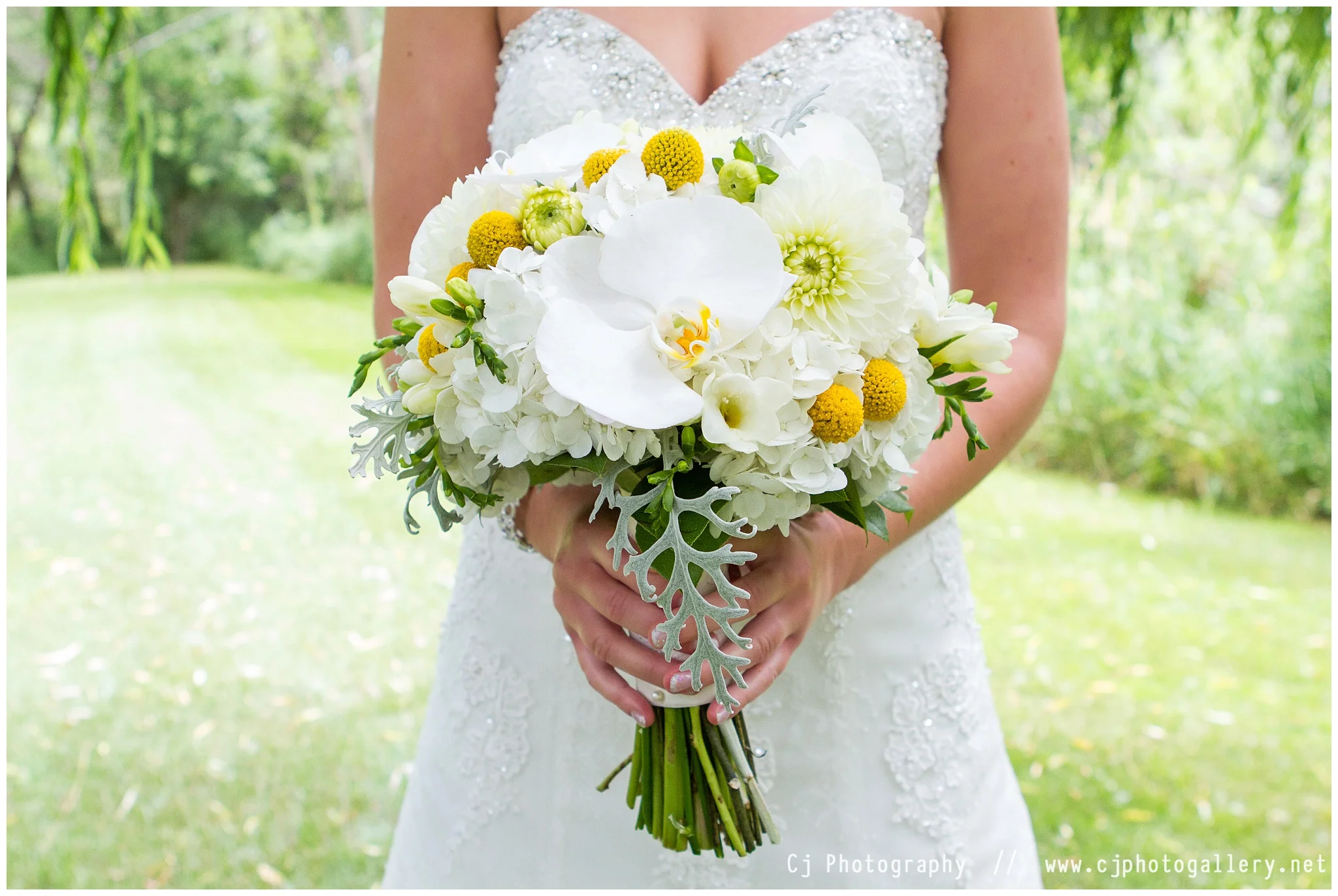 Cj Photography | Wisconsin Wedding Photography