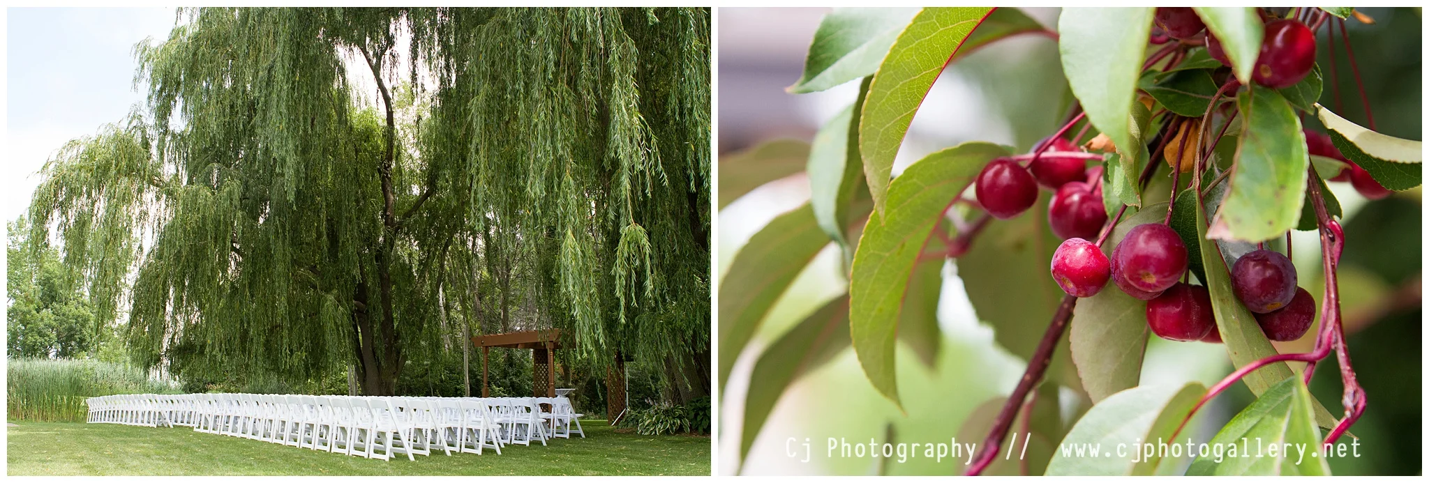 Cj Photography | Wisconsin Wedding Photography