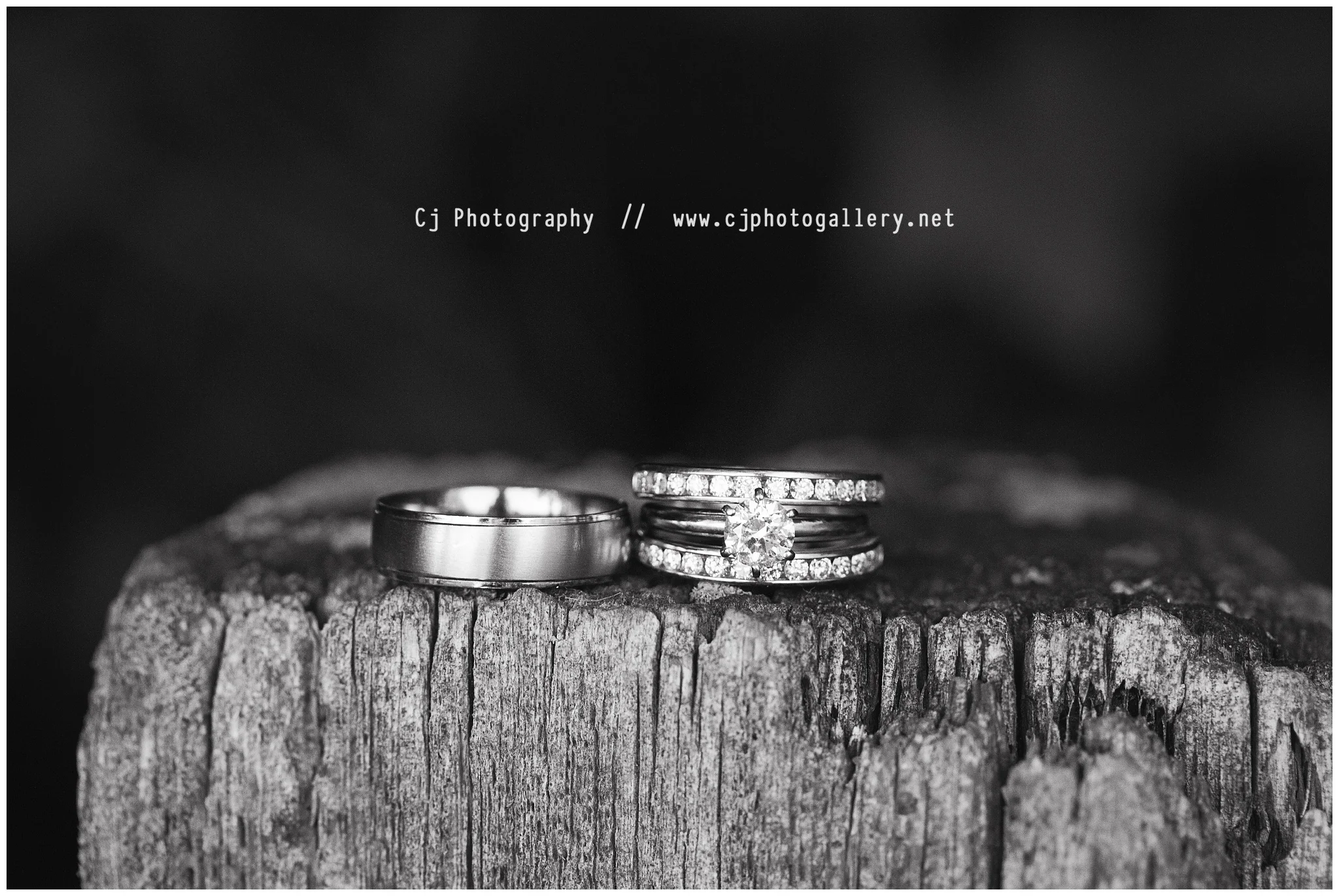 Cj Photography | Wisconsin Wedding Photography