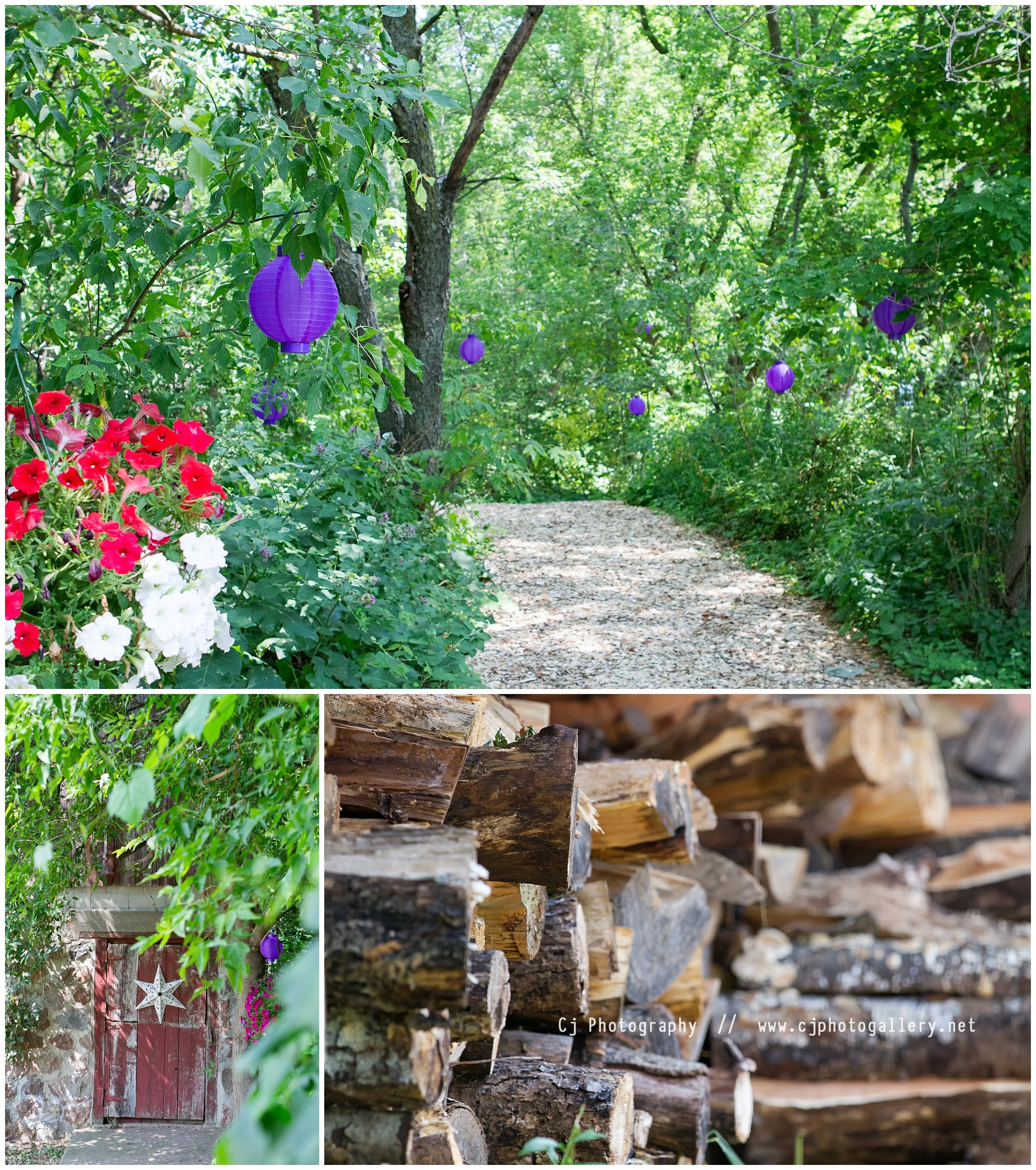 Cj Photography | Wisconsin Wedding Photographers