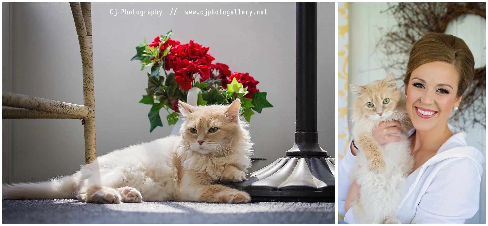 Cj Photography