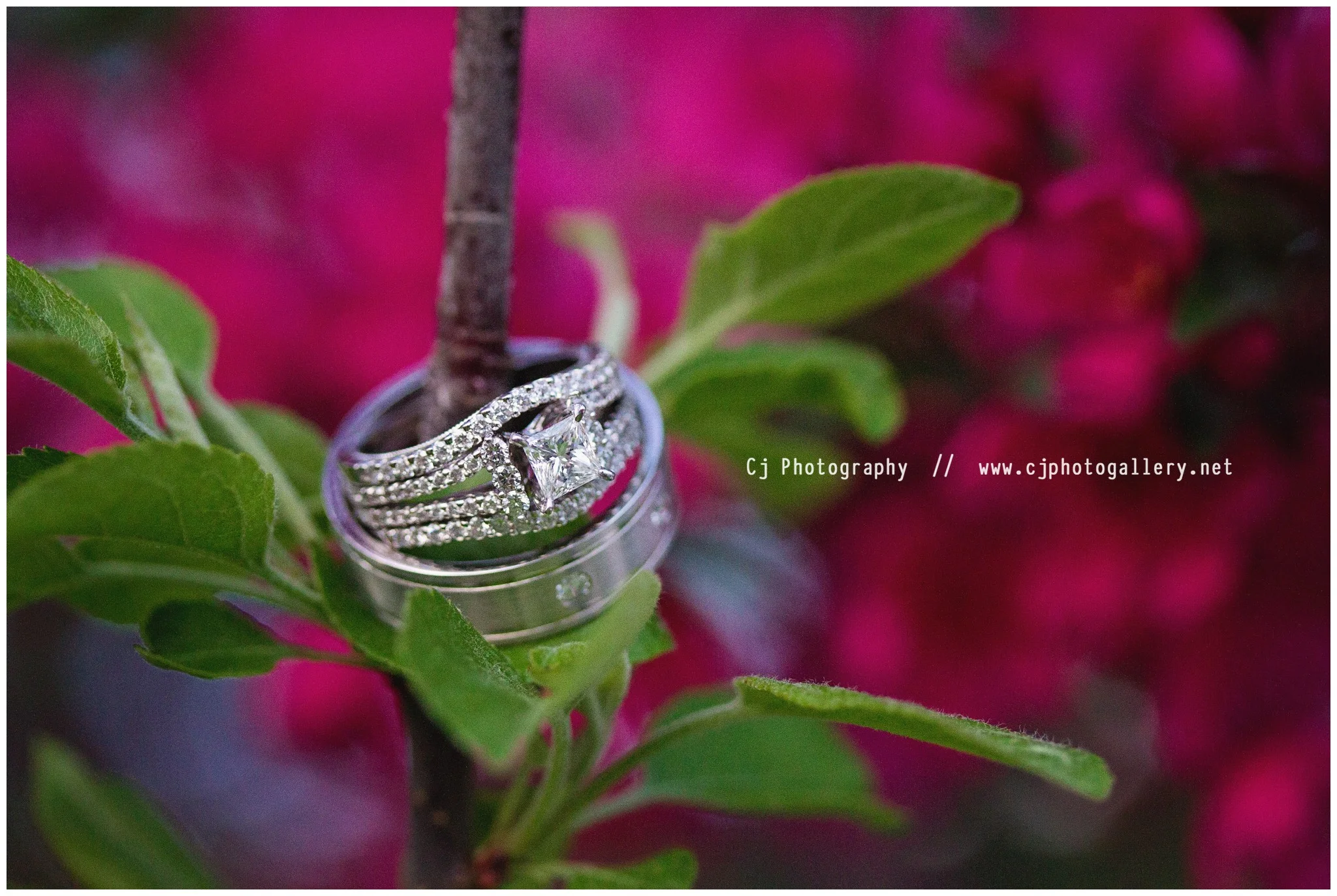 Cj Photography | Wisconsin Wedding Photographers