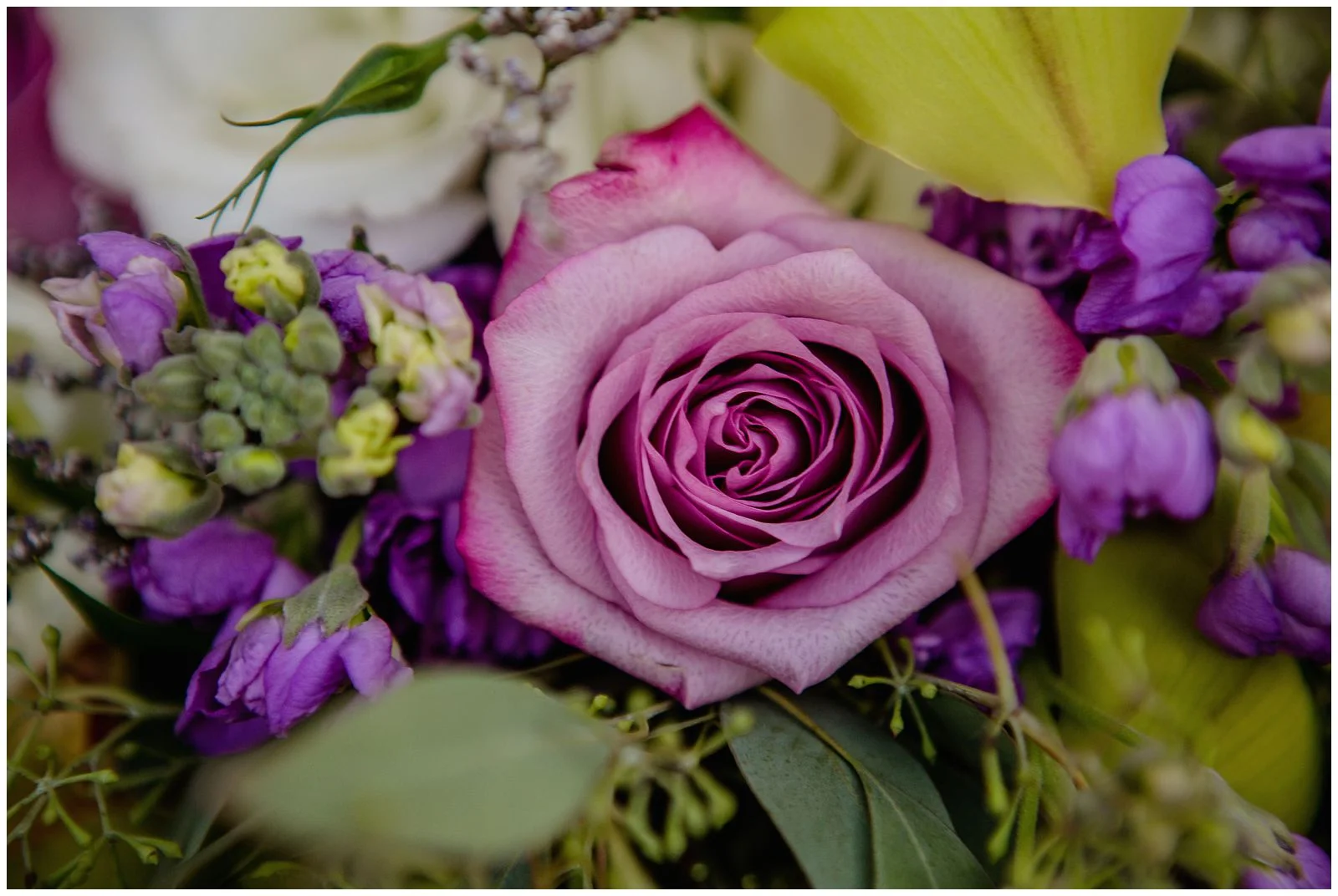 Fisher Wedding