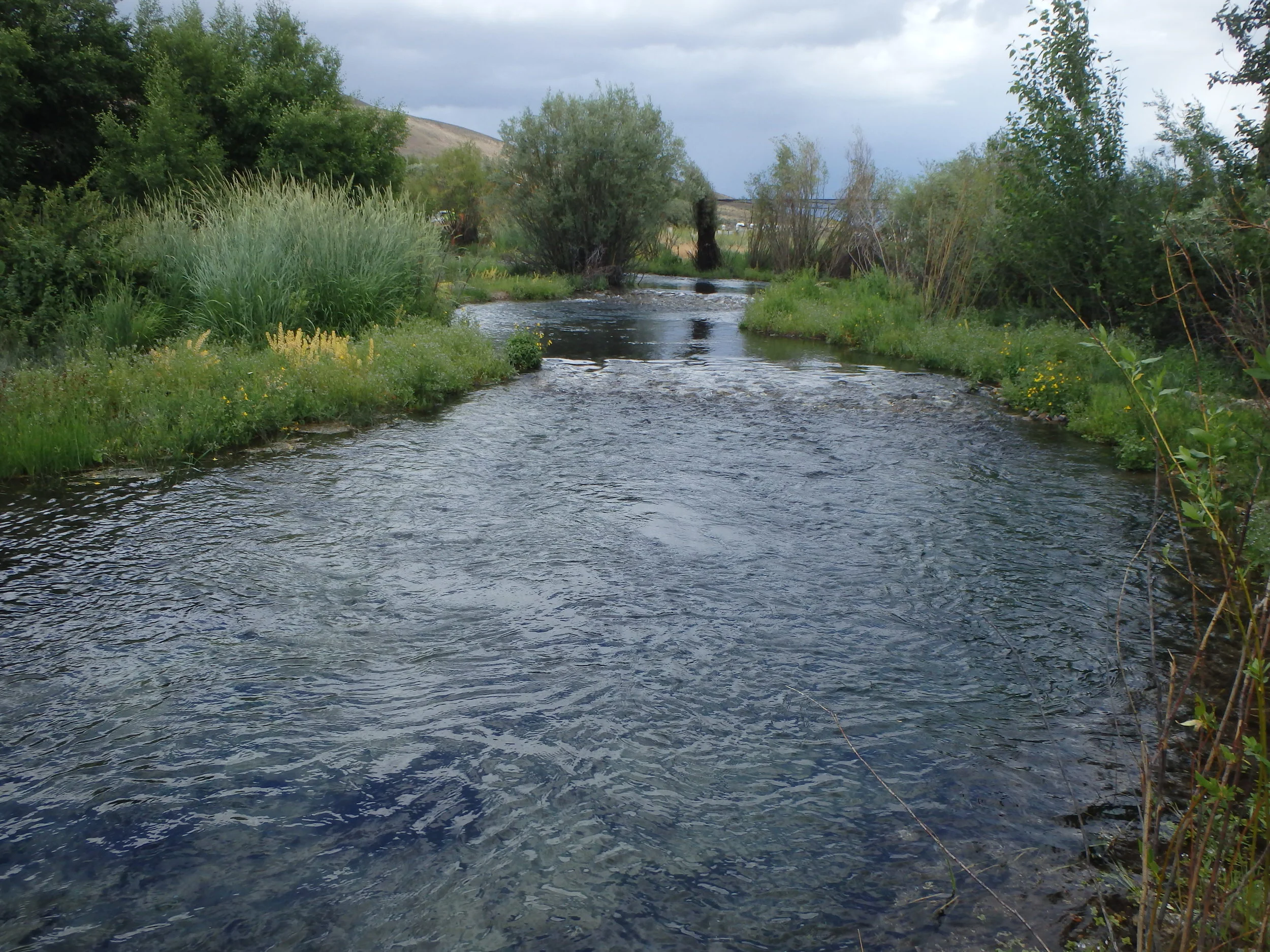 Riffles, grade control logs, excavated pools, and riparian planting for stream restoration